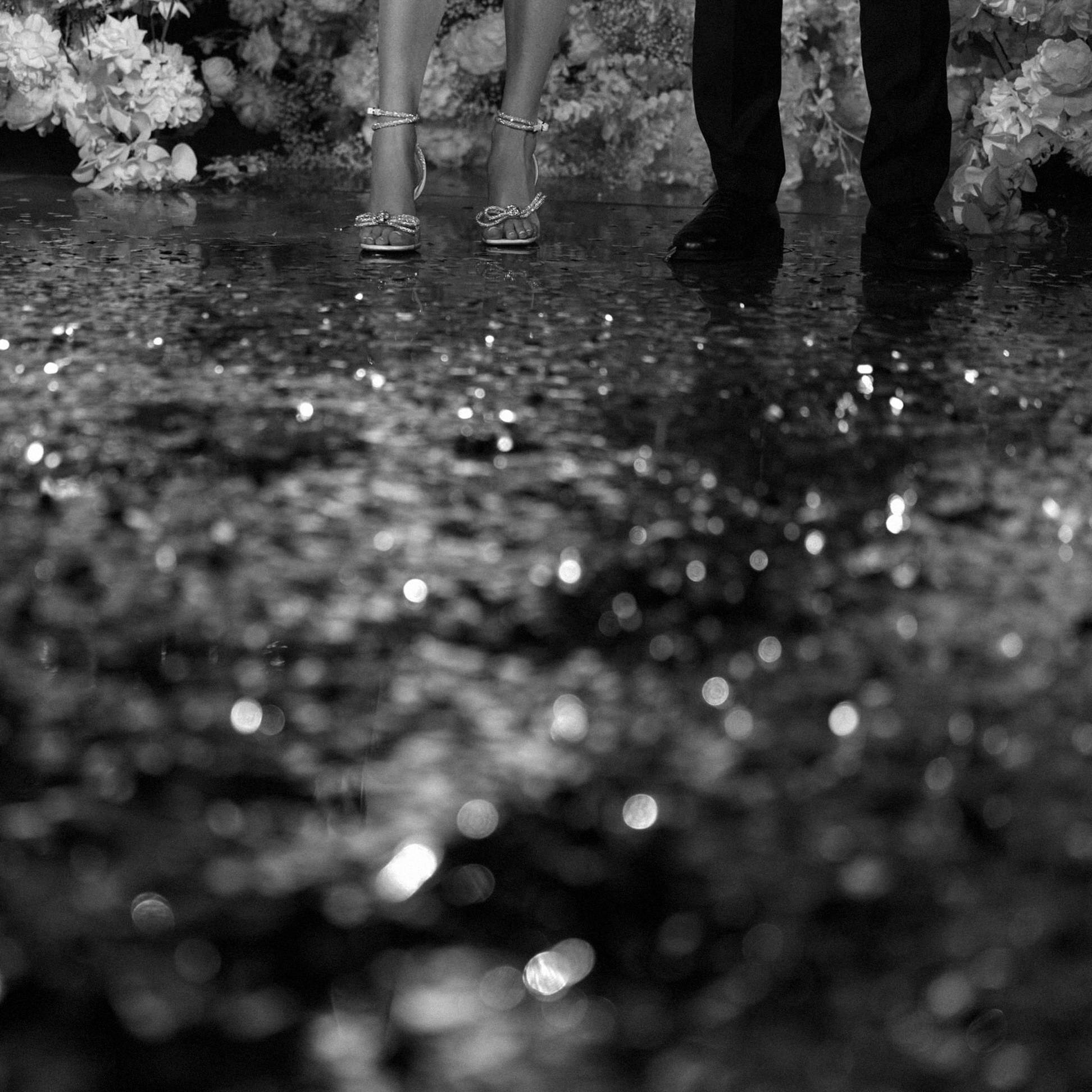 Portfolio Award 2024