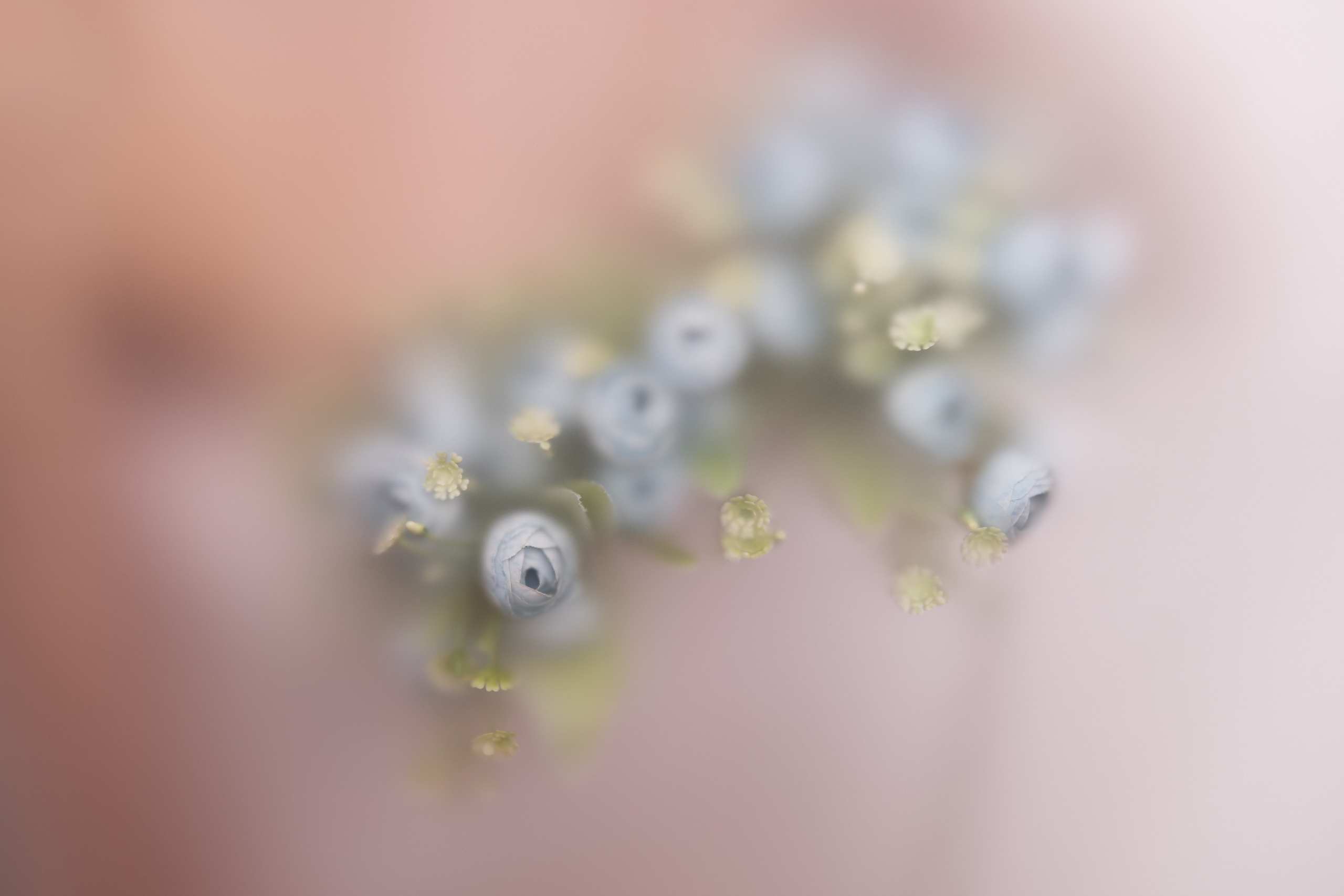 Женский портрет. Фотосессия беременности — Крылова Натали — Москва