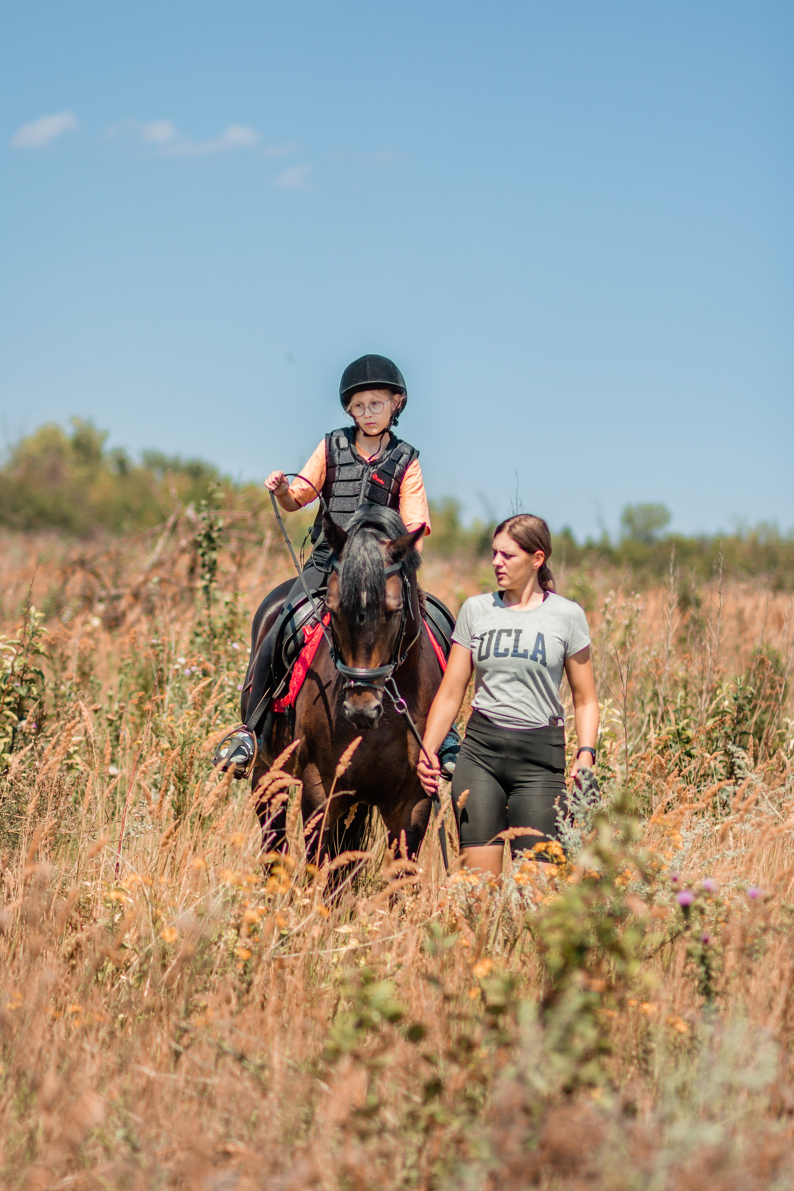 Выезды в поля на лошади