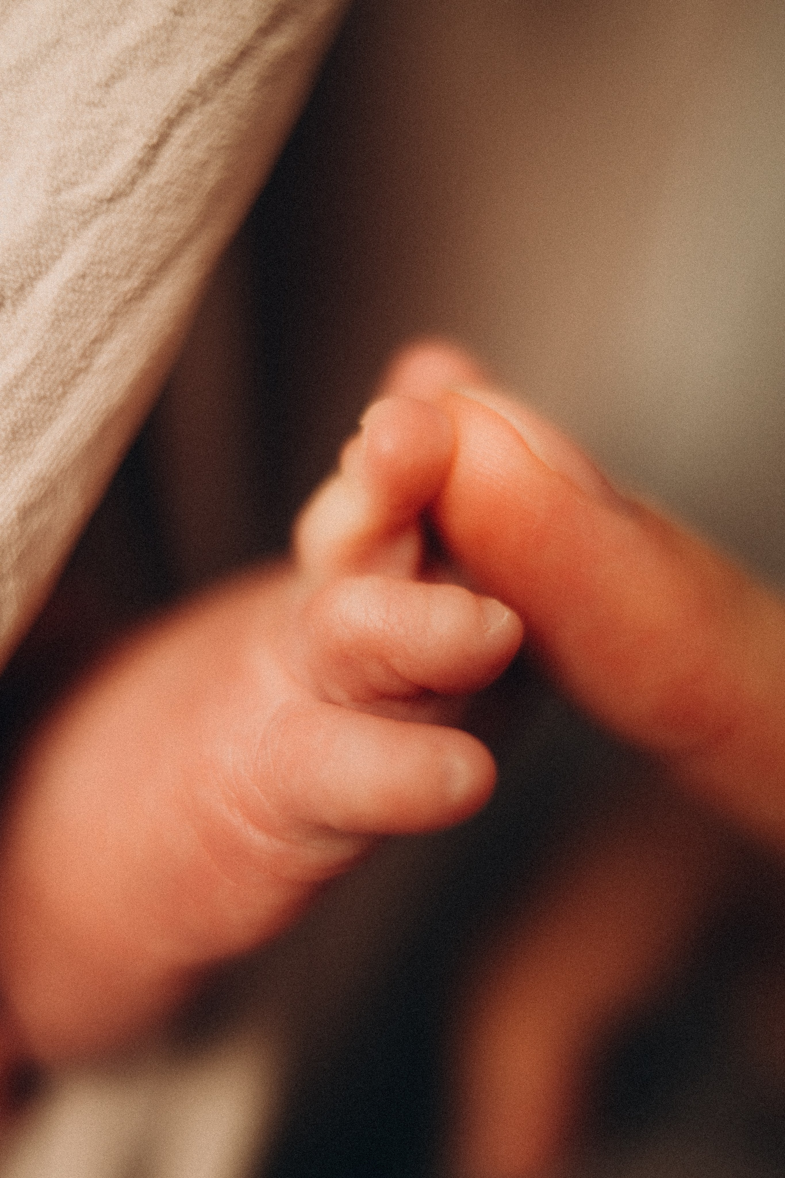 Платон. Евгения Пелипас