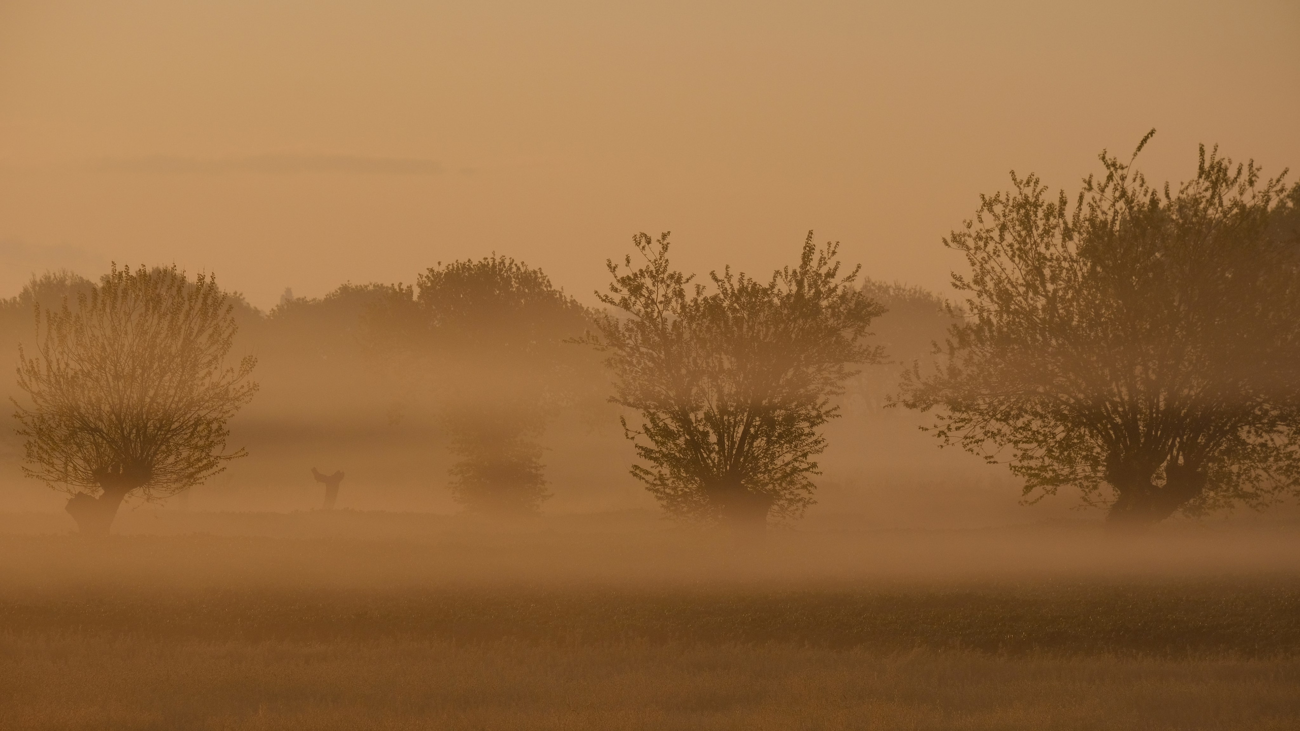 Фотографии для интерьера. Oleg Samoilov is a documentary photographer for brands that value an honest story