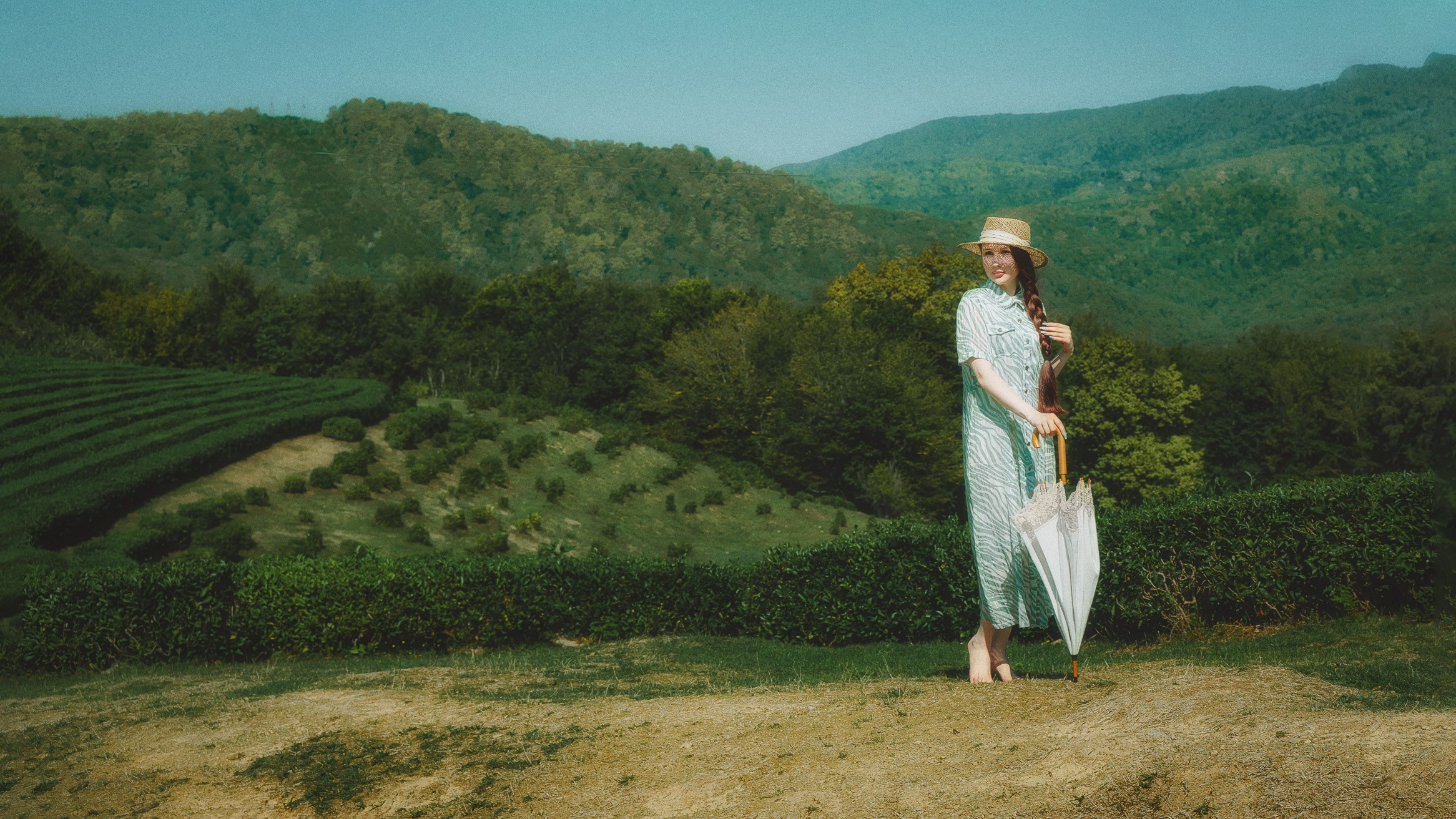 Фототуры в Сочи чайные плантации