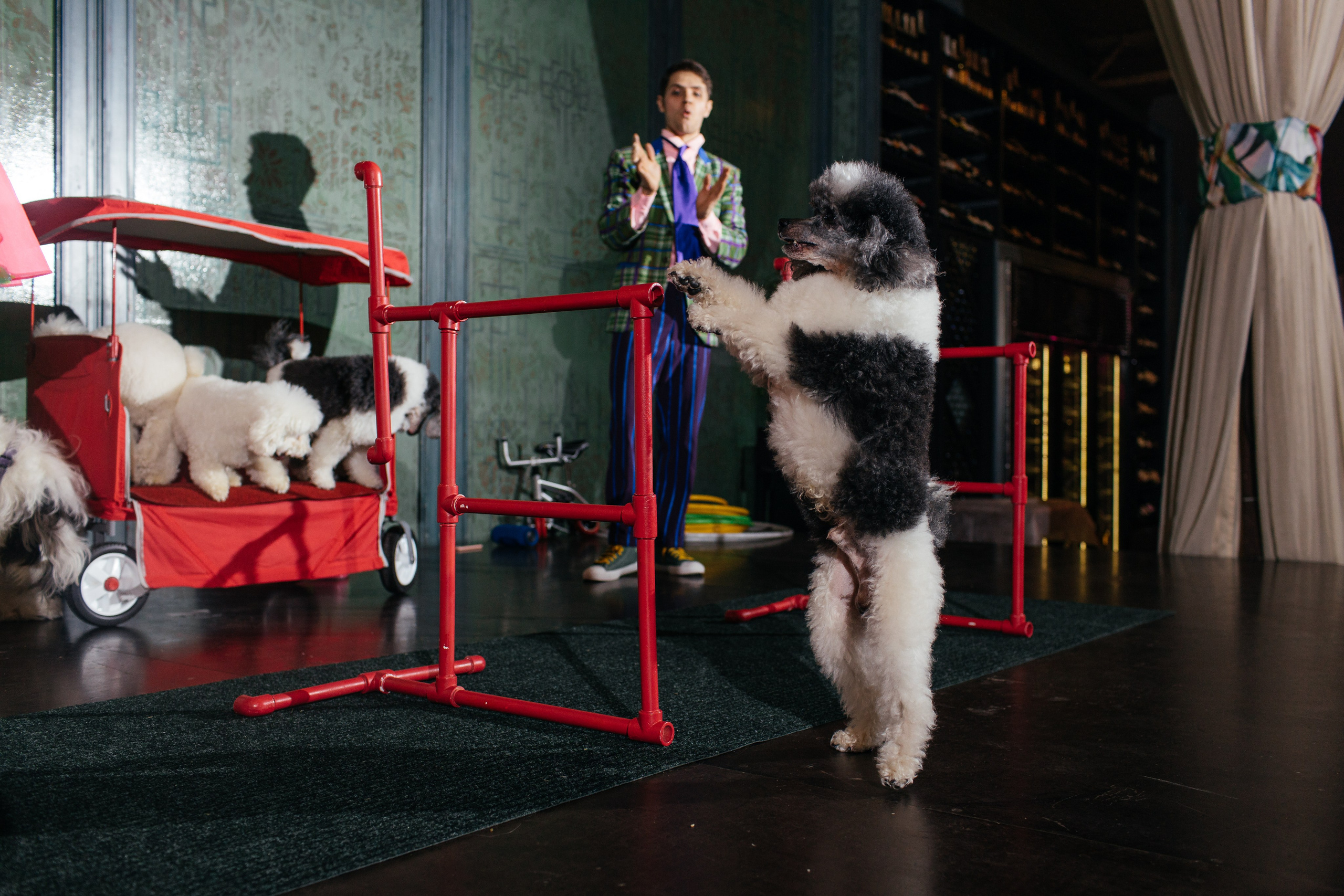 Алине 7 лет. Свадебный и семейный фотограф