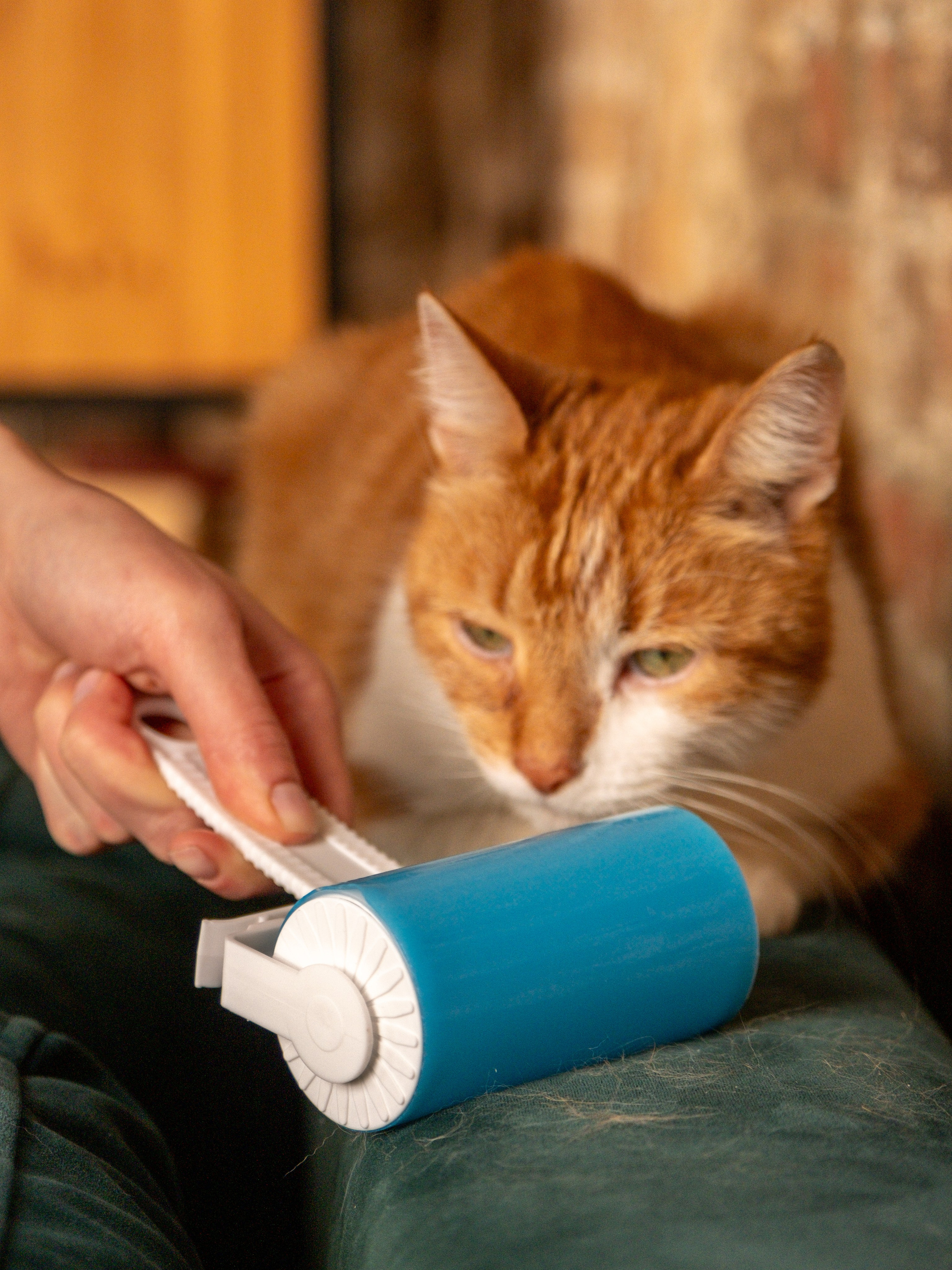 Пуходерка и ролик для очистки одежды для Александра!. Зоофотограф, фотограф животных в Москве и области Дина Дамоцева