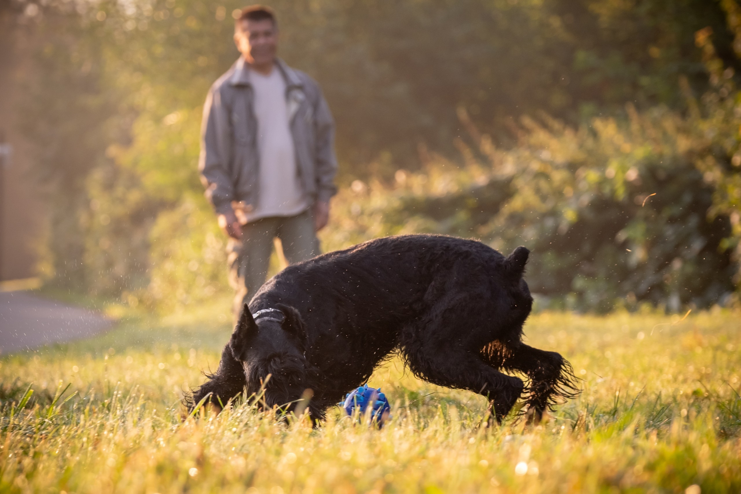 Прекрасная семья Ксении. Зоофотограф, фотограф животных в Москве и области Дина Дамоцева
