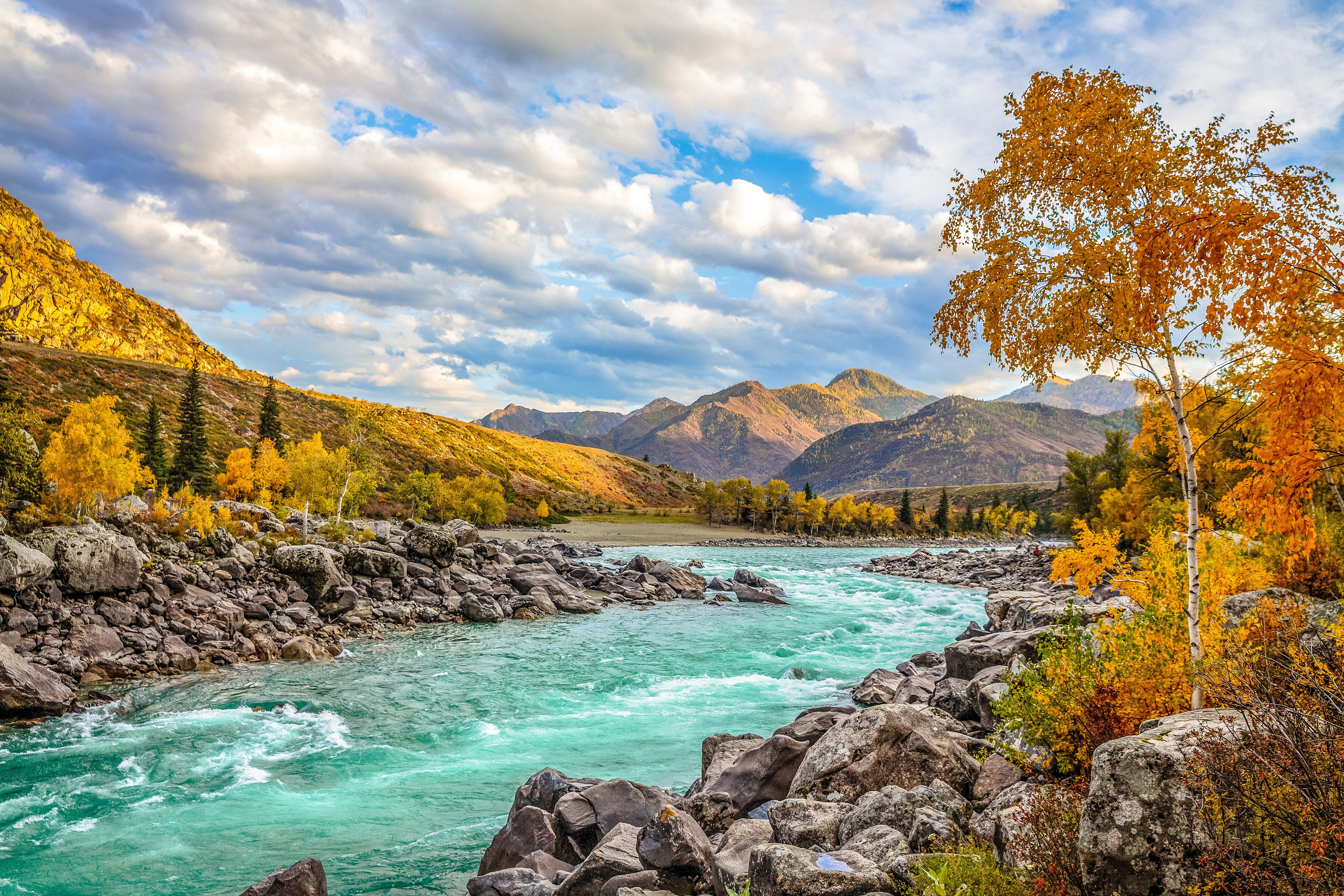 Алтай осень. Фотограф Евгений Кожевников
