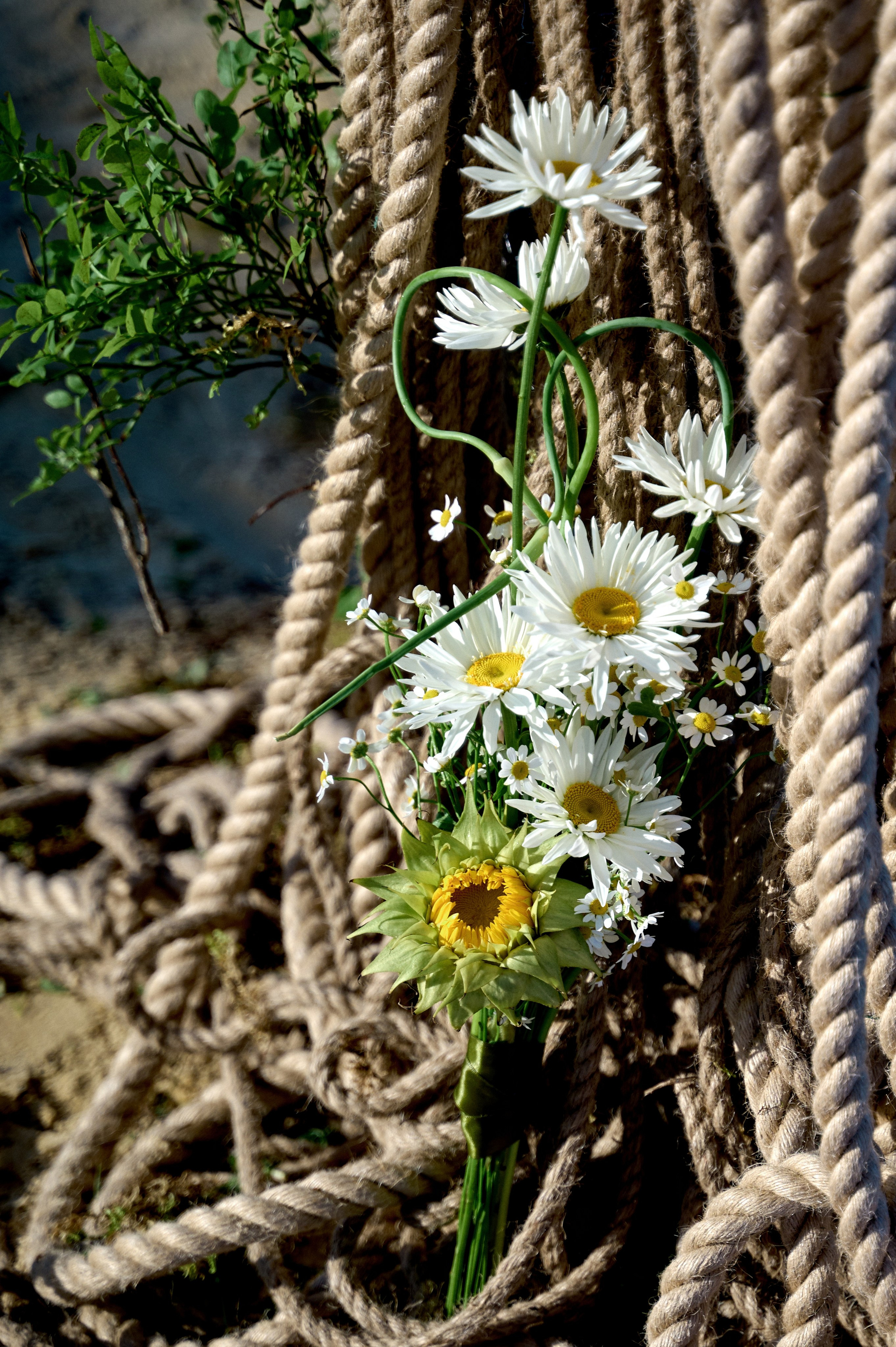Летняя история. Анна Гончарова свадебный и репортажный фотограф в Москве
