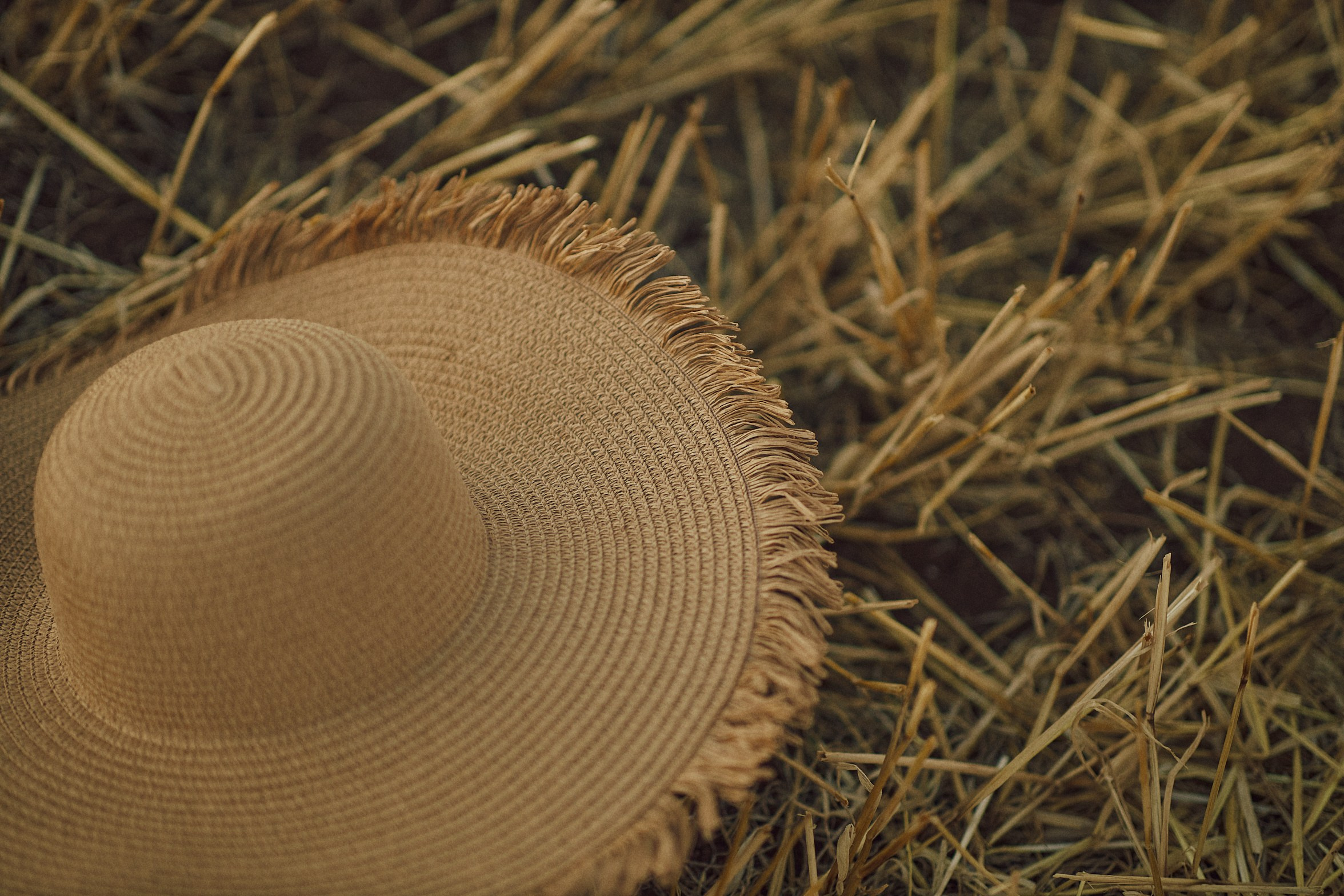In the field. Фотограф Максим Маркелов