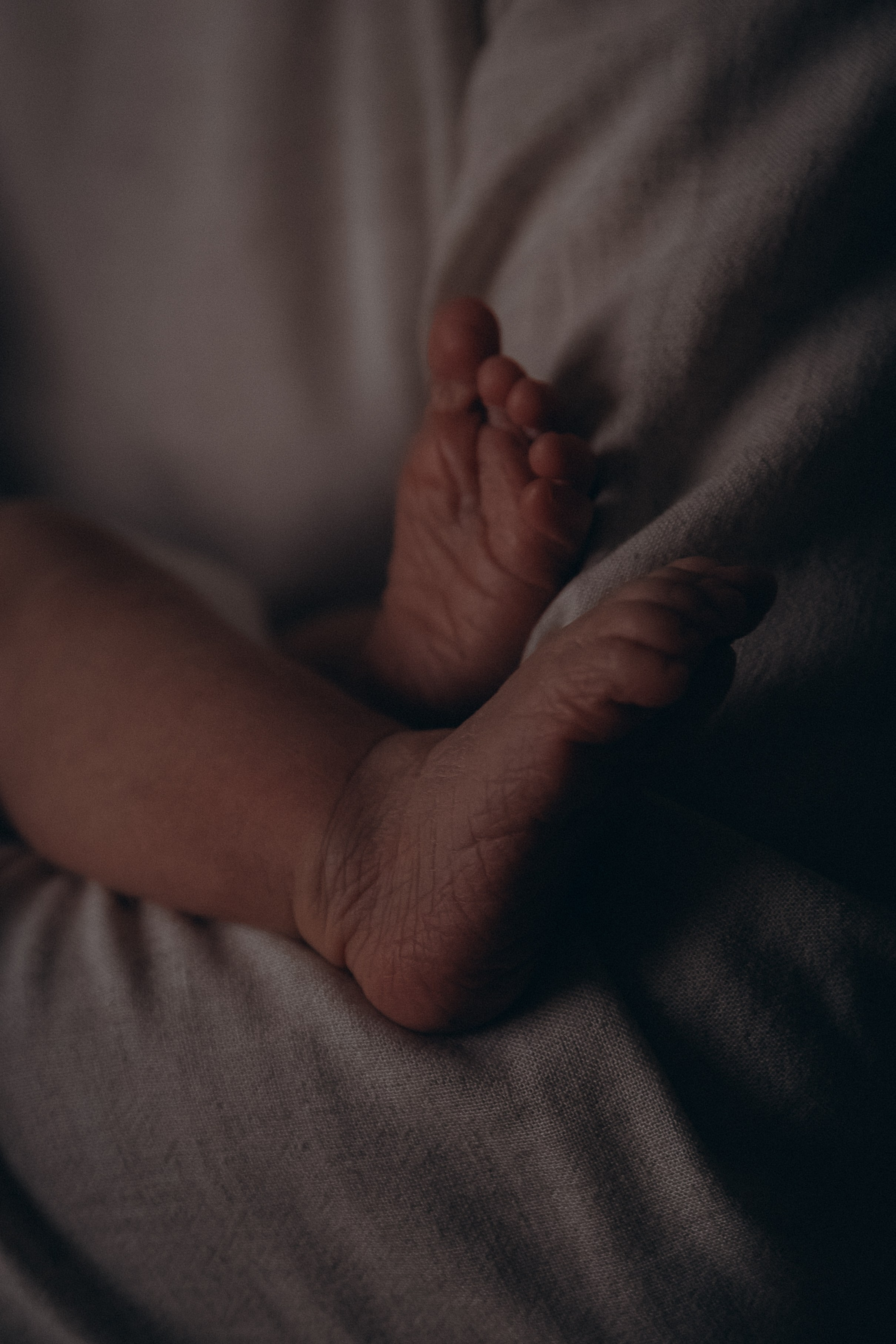 Новый человек в доме. Фотограф  Челябинск Варвара Шарапова