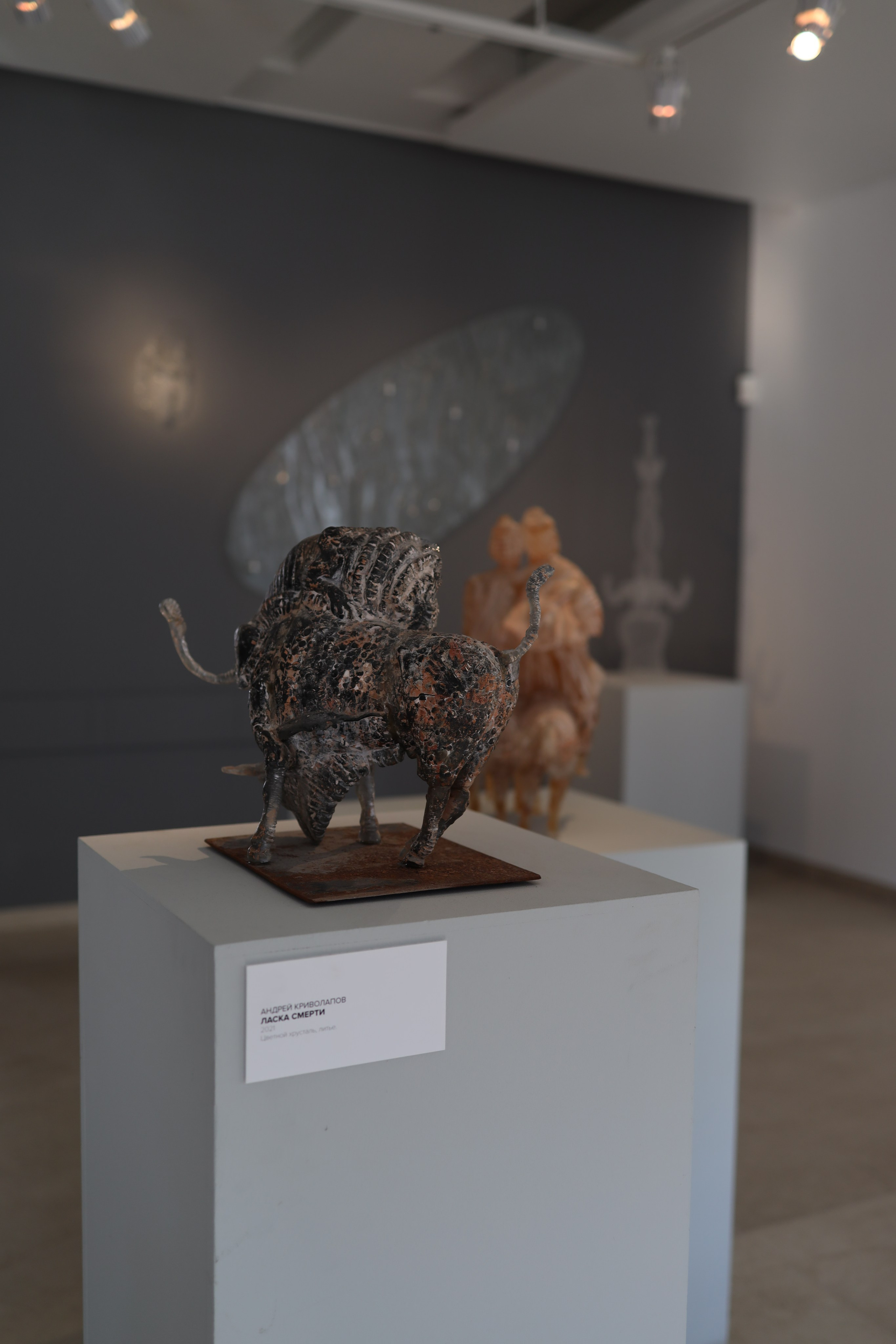 Выставка Степени прозрачности. Фотосессии и репортаж — Фотограф в Москве — Рина Серёгина