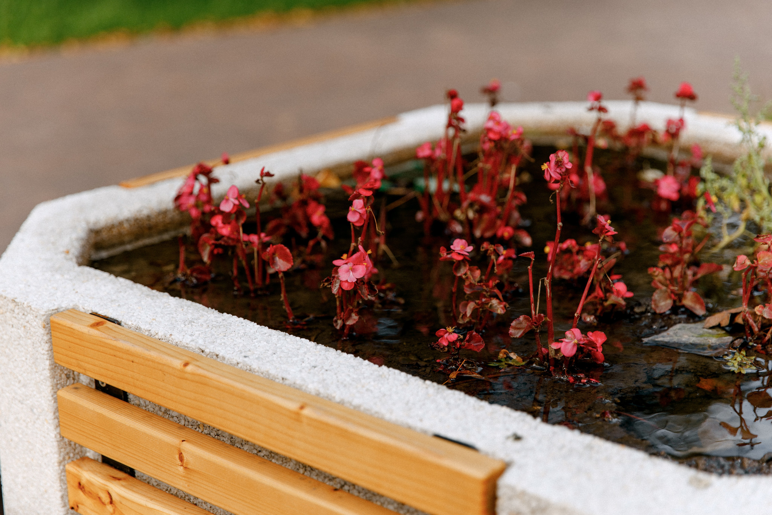 Три штыка. Свадебный и семейный фотограф в Туле и области Маша Костина