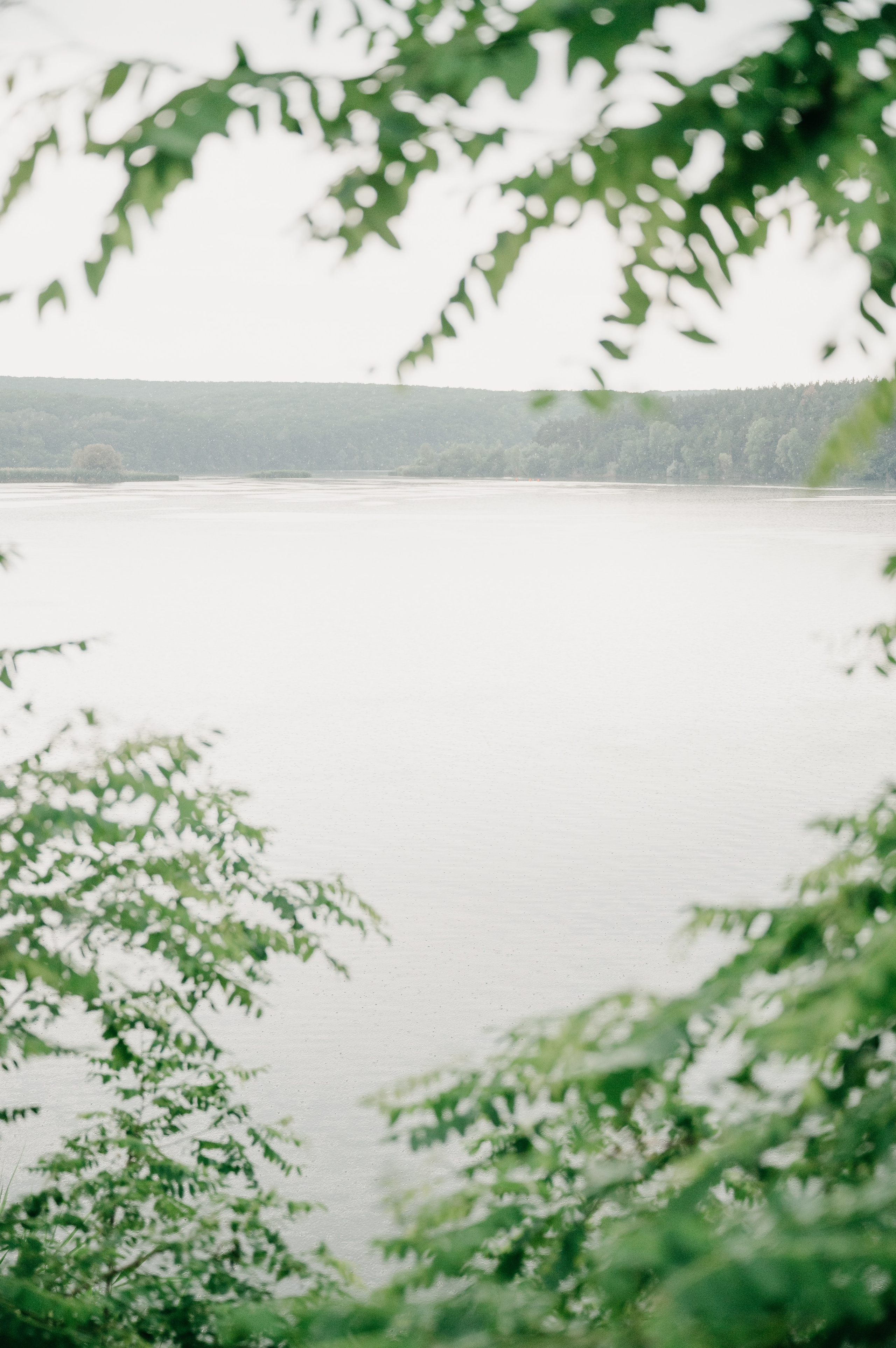 Иван и Яна. Свадебный фотограф Марина Жемчужникова в Москве и в Белгороде