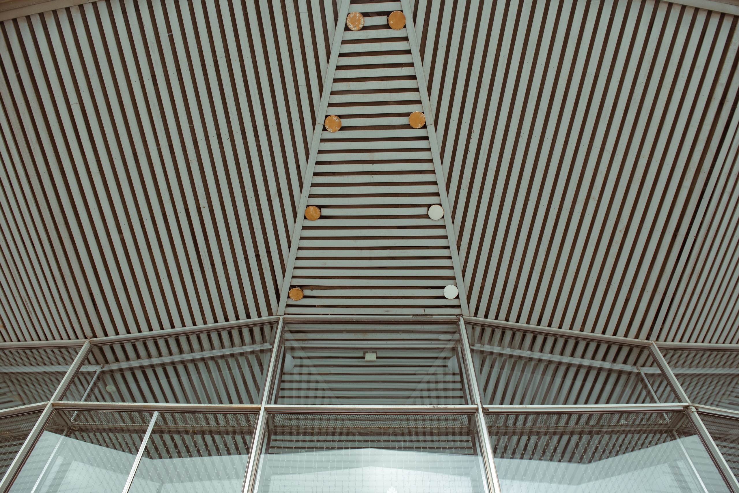 Большой московский цирк. Портретный и архитектурный фотограф в Москве и Санкт-Петербурге