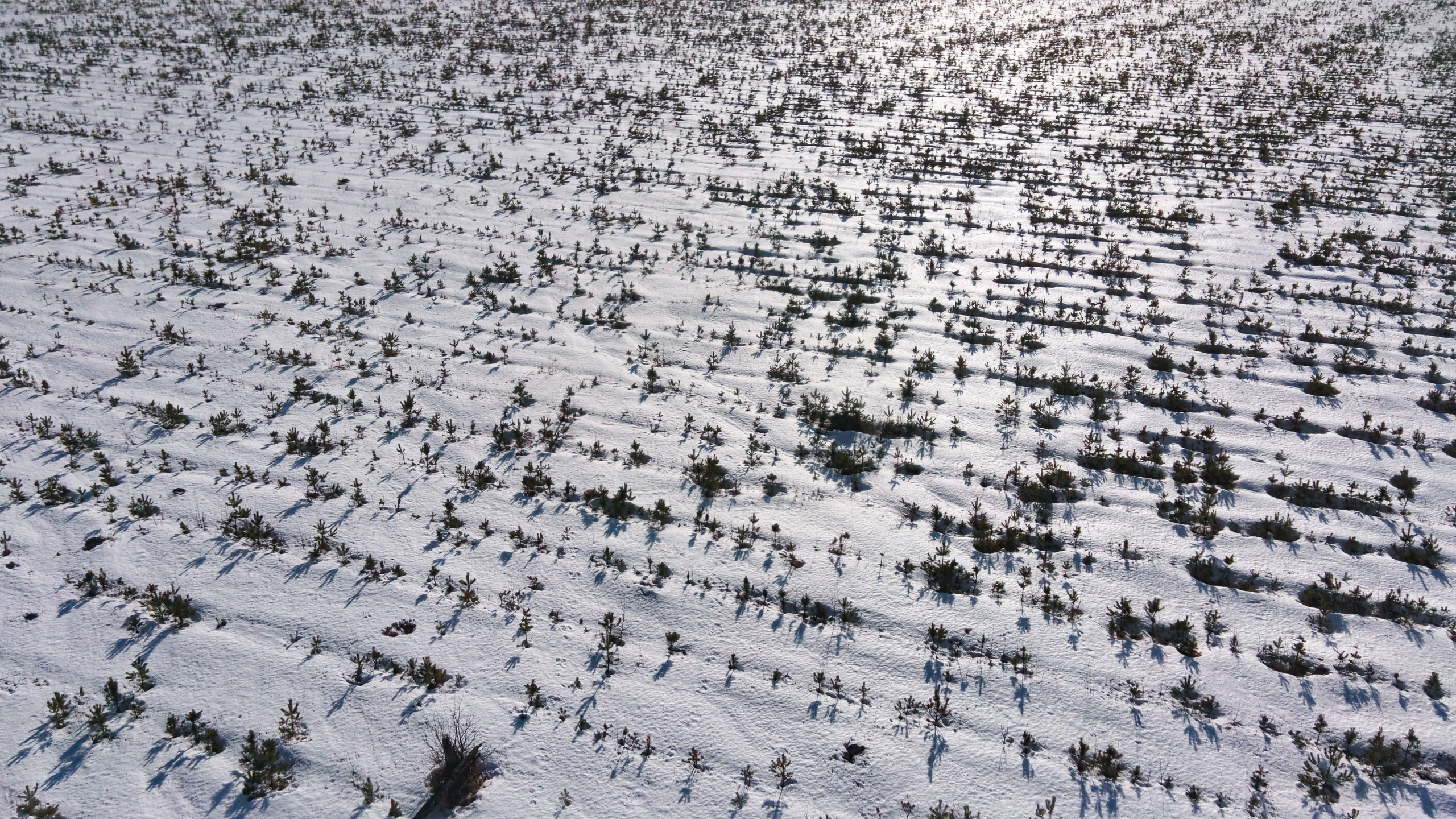 Я здесь живу. DASHA KALNINA