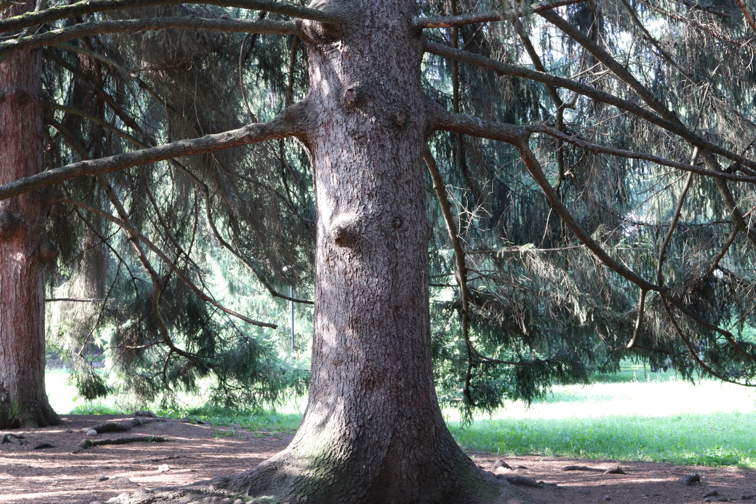 Кисловодские пейзажи. Фото-художник и Репортажный фотограф Николаев Александр Алексеевич