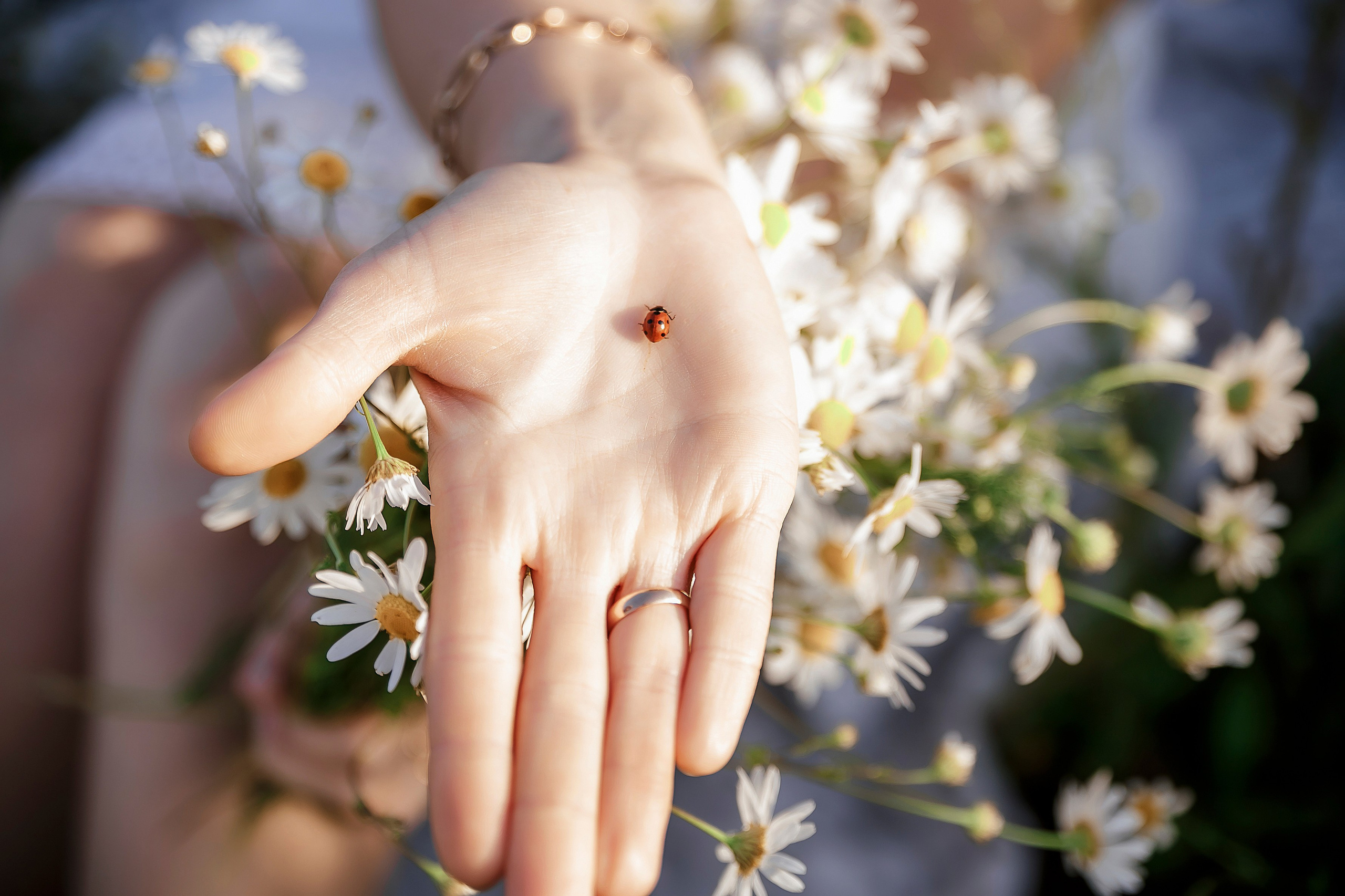 Оля и Ксения. Семейный и репортажный фотограф в Череповце Оля Ланец