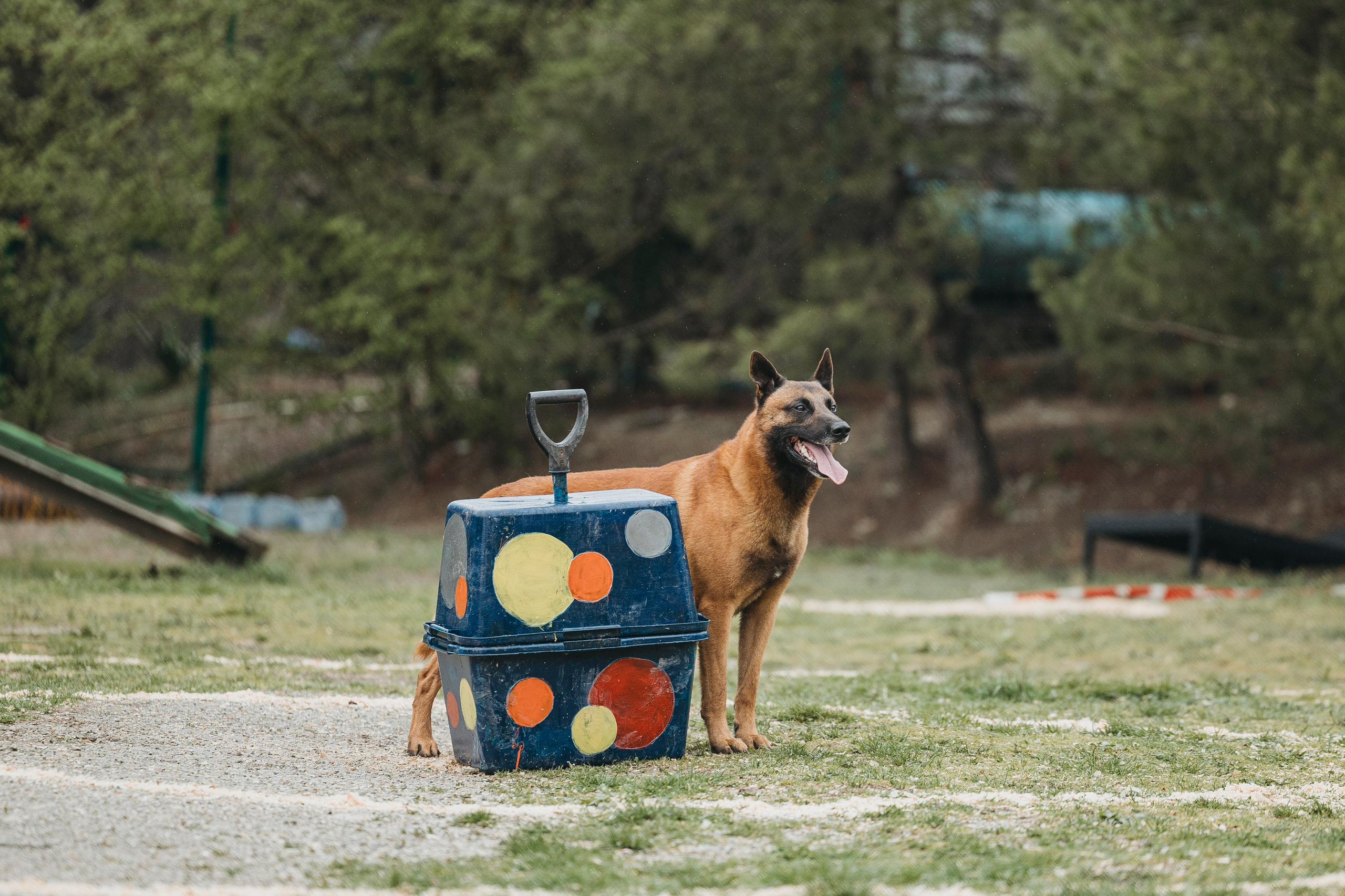 Геленджик Мондьоринг. Фотограф-анималист Анна Маринич