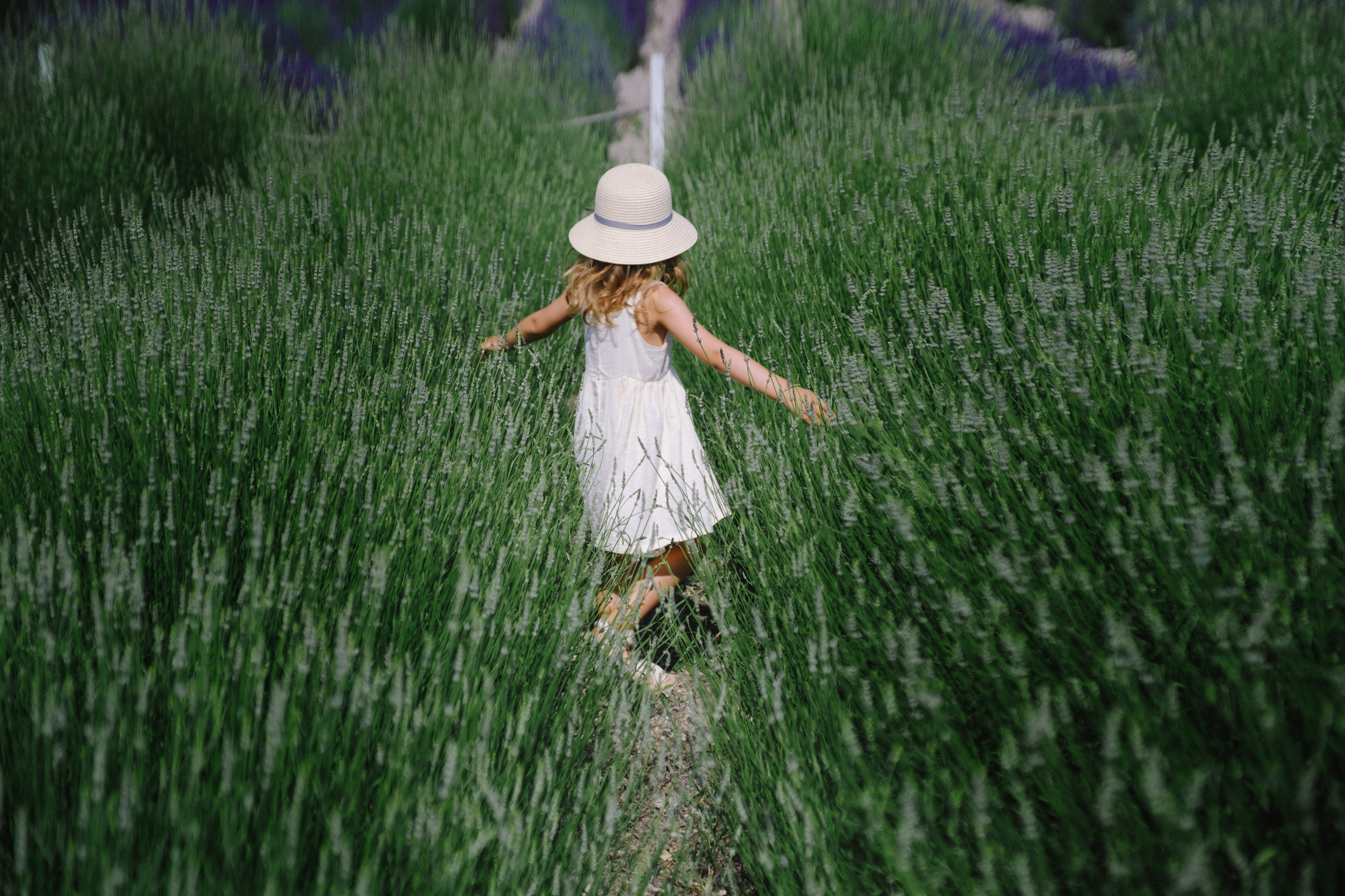 Лавандовые поля-Maison de Plantes. Свадебный Видеограф Фотограф в Сочи