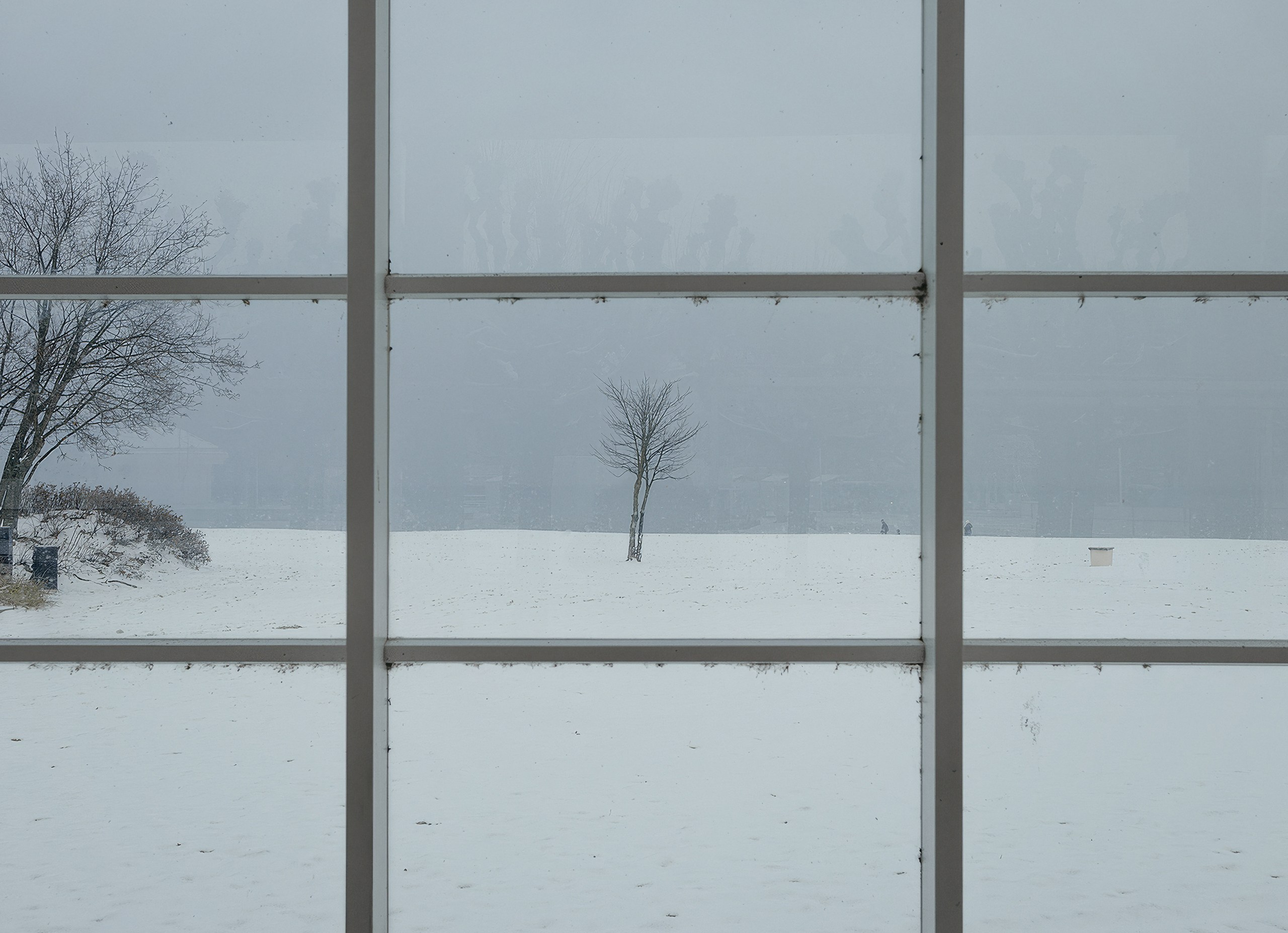 Илья Казанков. Фотограф и графический дизайнер из Калининграда