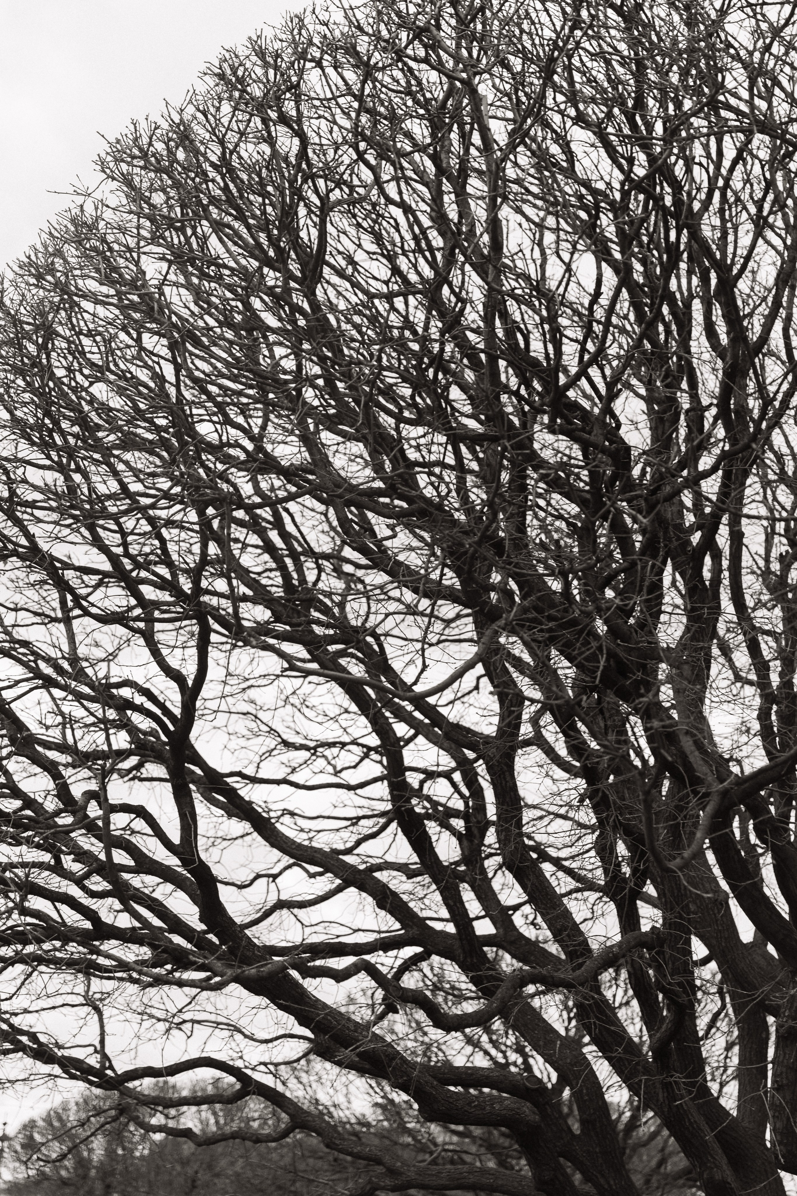 Андрей и Кристина