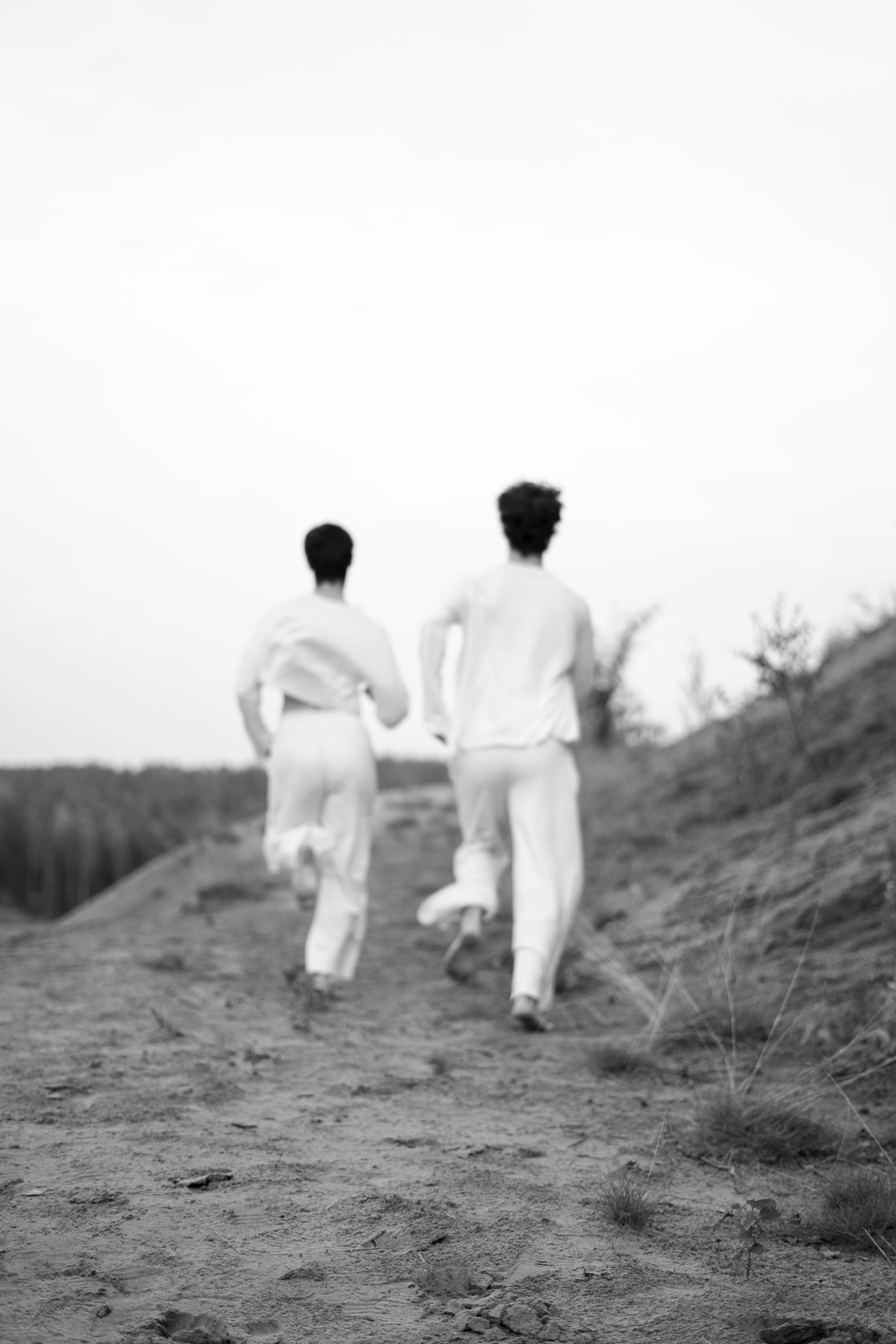 Каталог. Ольга Ибатуллина