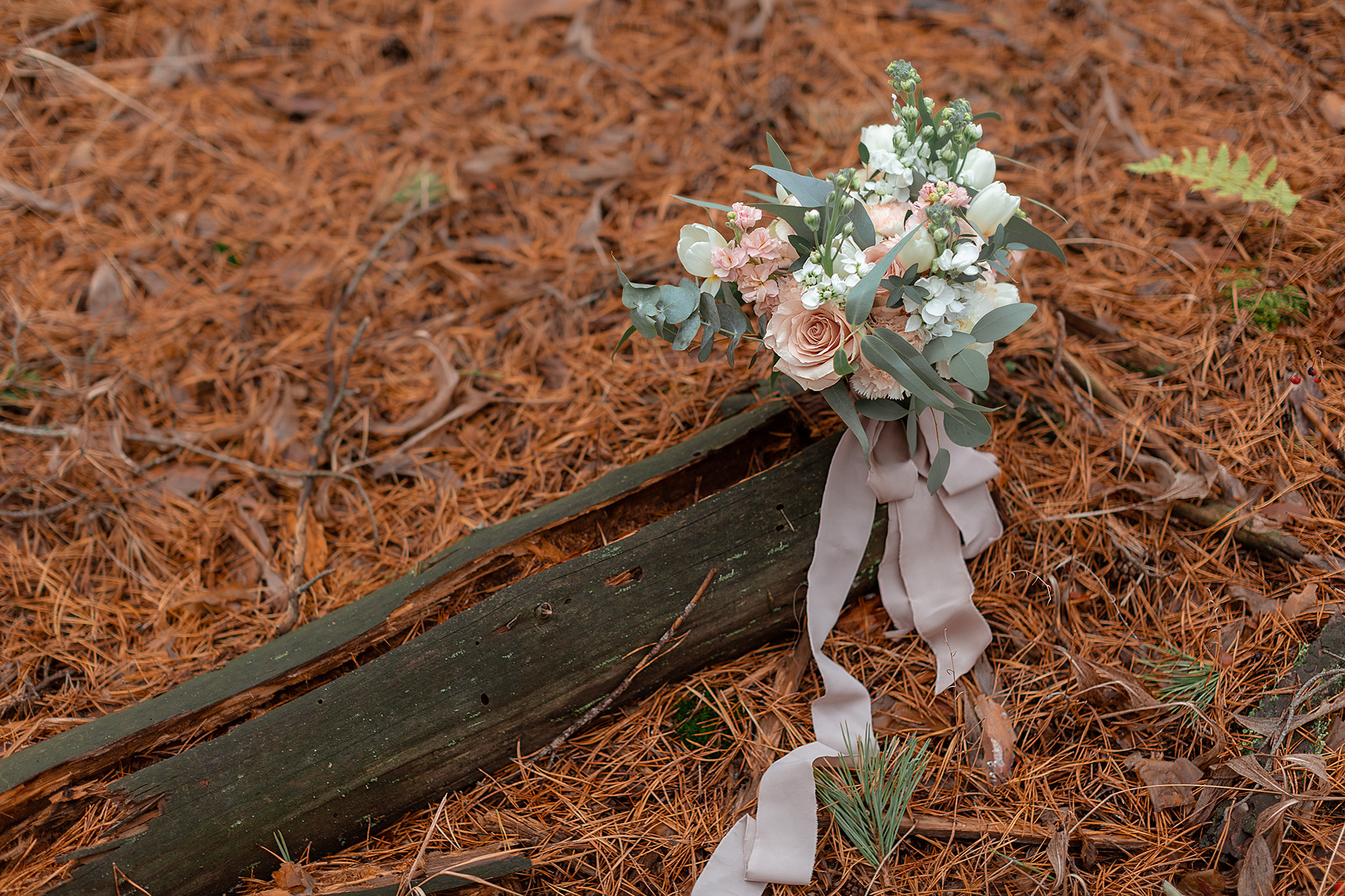 Владимир и Анастасия. Фотограф Александра Горюнова ❘ Рязань