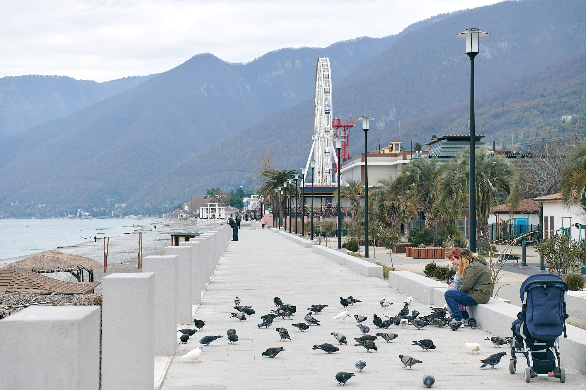 Гагра, Абхазия. Декабрь 2024. Фотографии отовсюду и обо всем