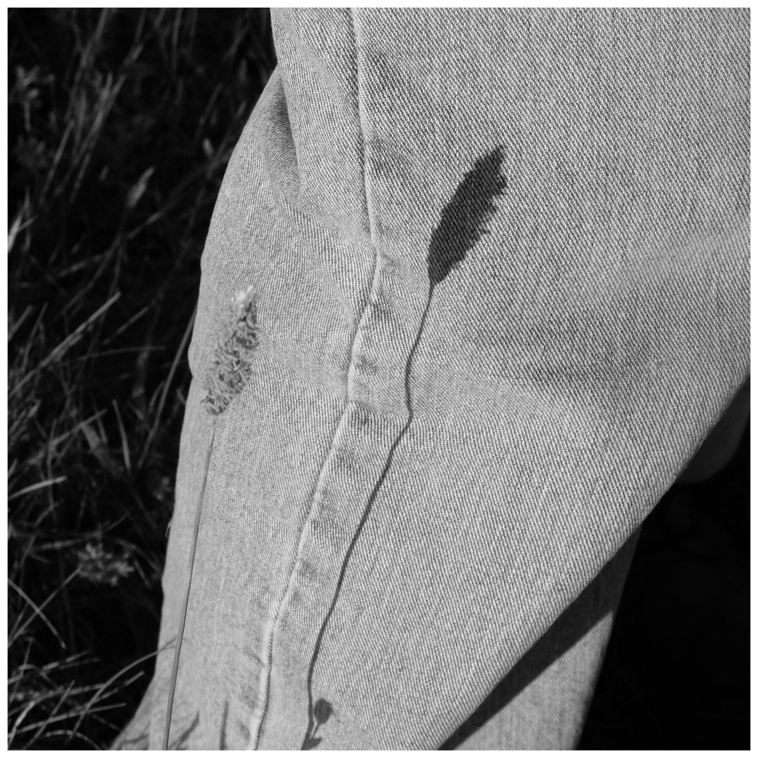 Промежуточные моменты (2022)