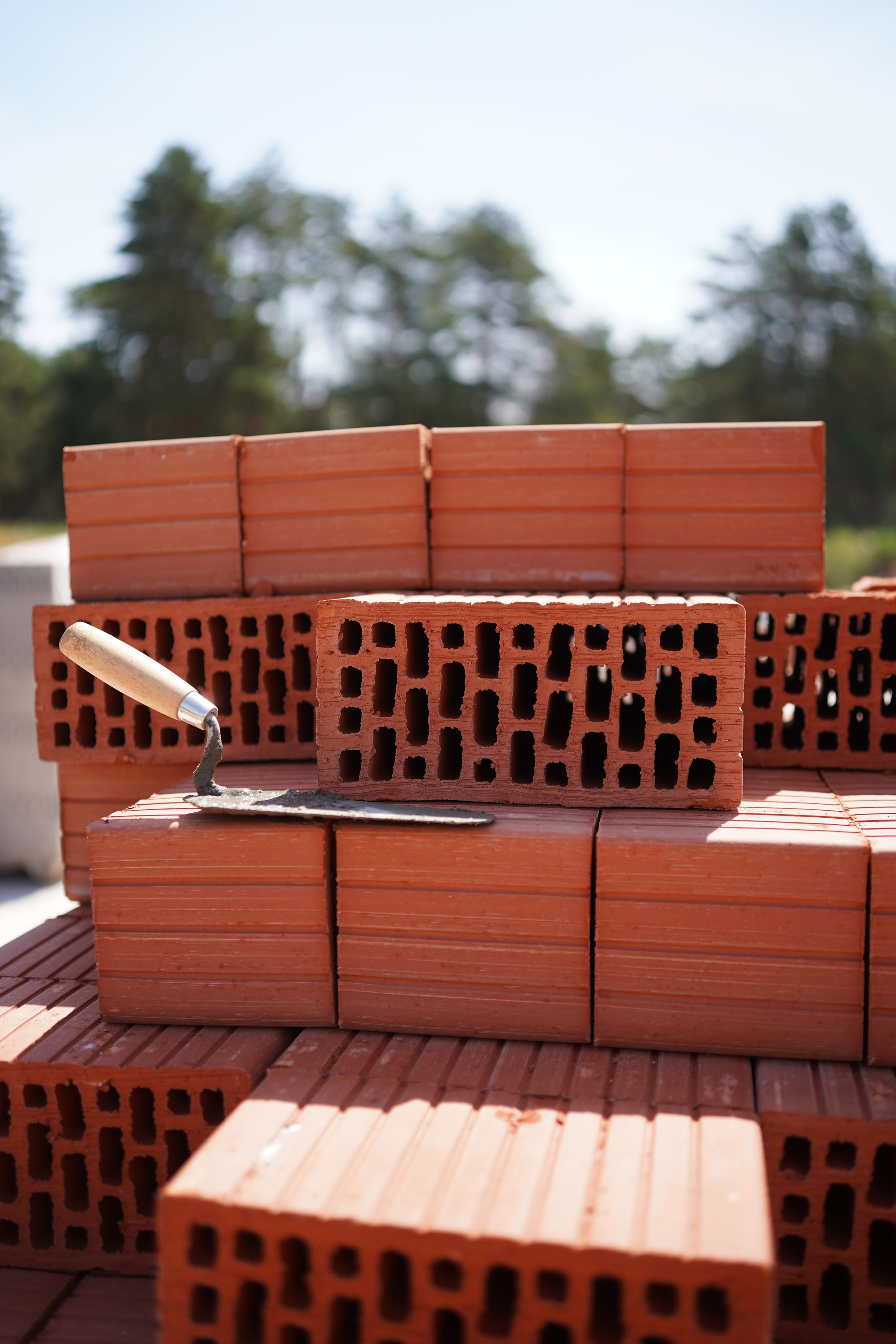 Покровский сад. Das House