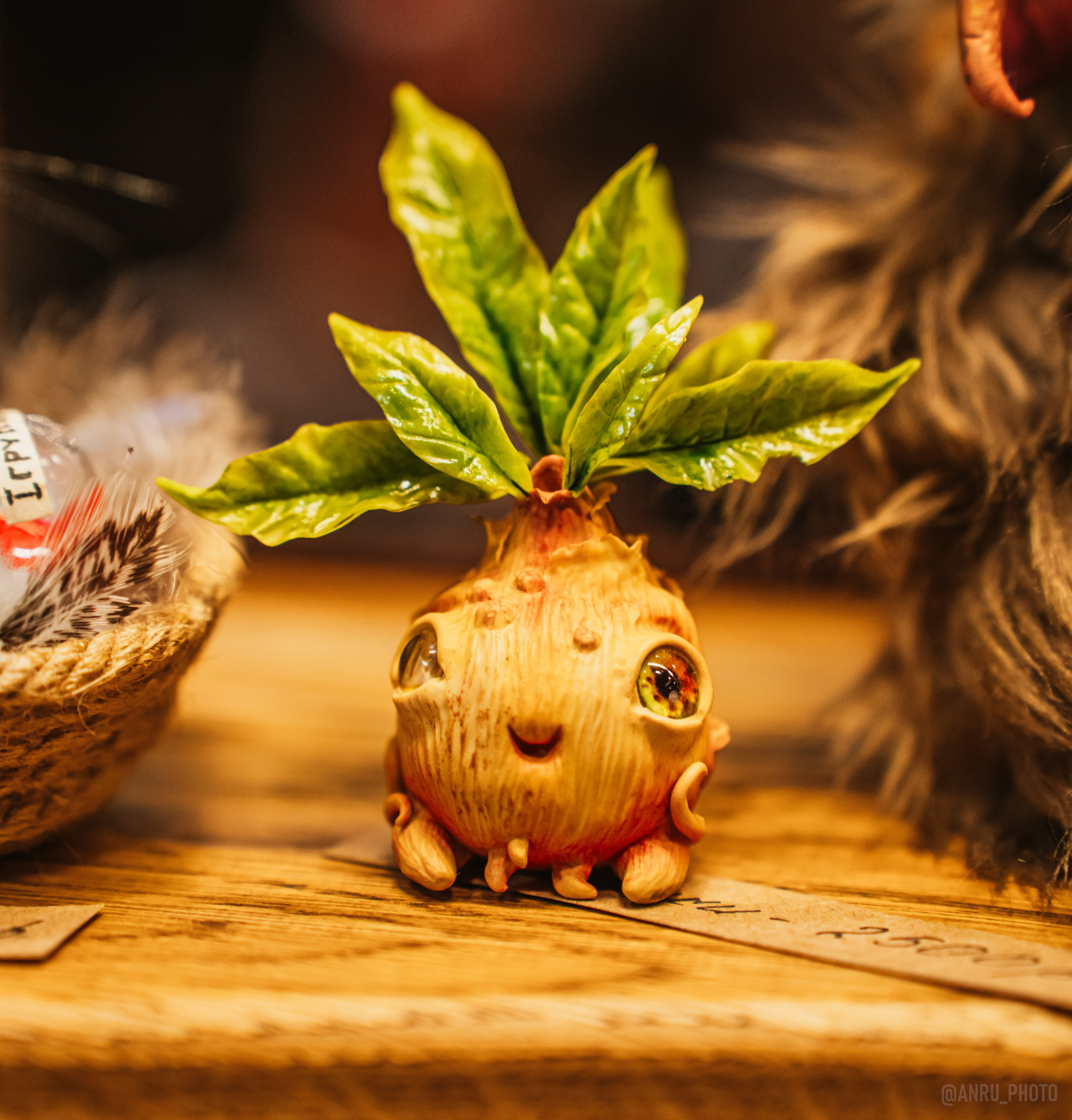 Рептилиум (ручная работа). Репортажный фотограф Анастасия Рубцова