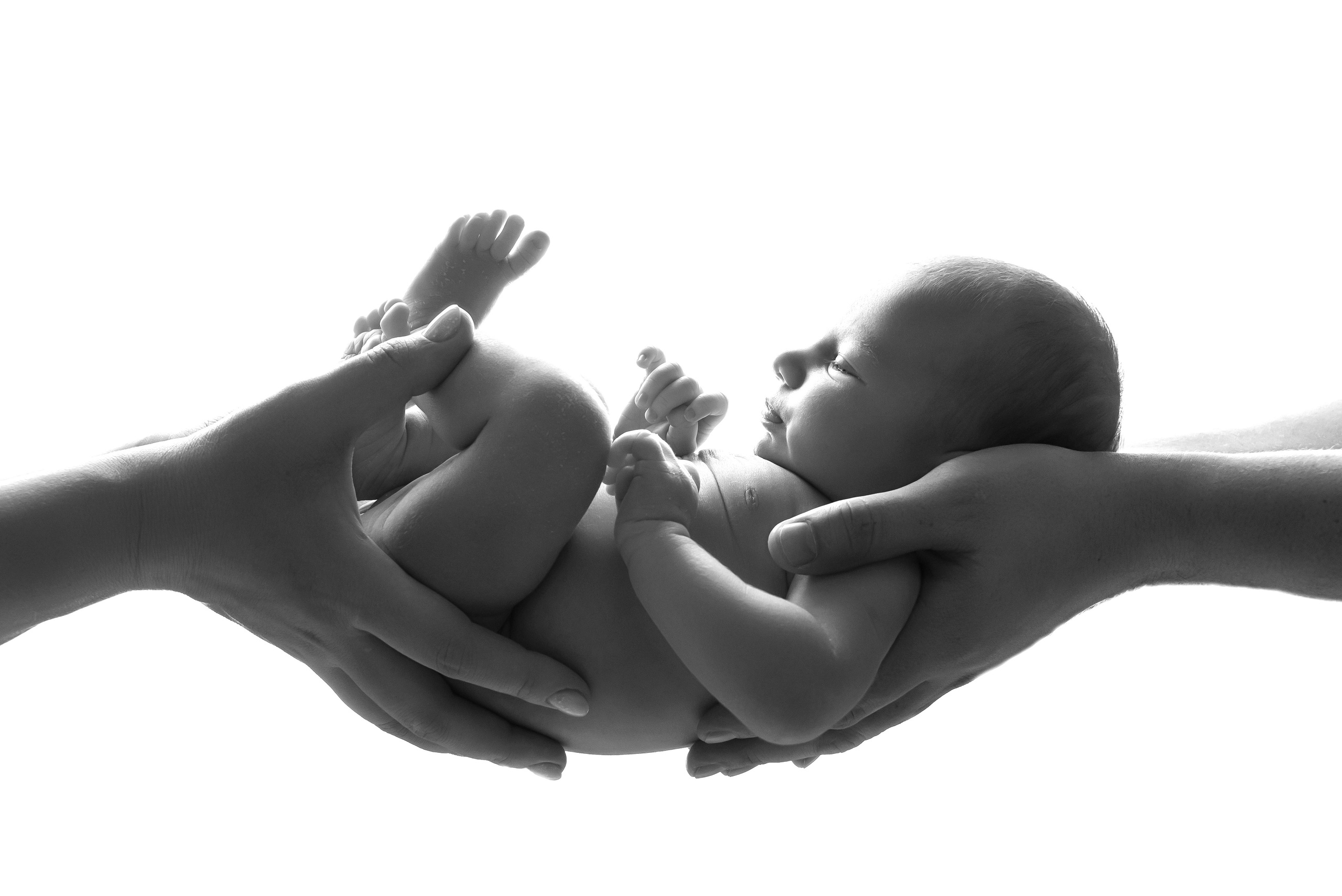 Марта 12 дней. Детский фотограф новорождённых в Минске Боровик Екатерина