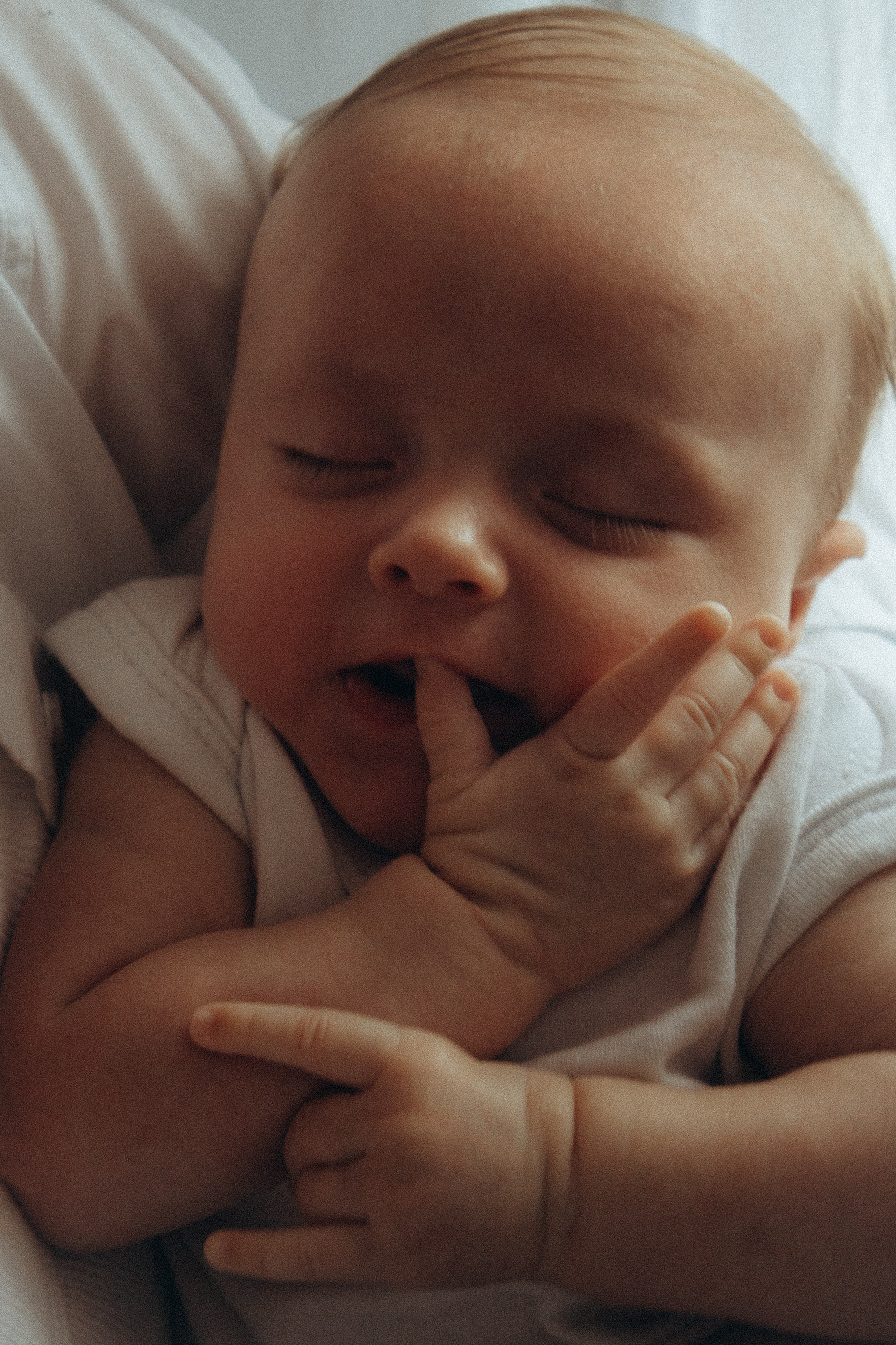 Наш маленький мир. Фотограф Москва Алёна Суворова