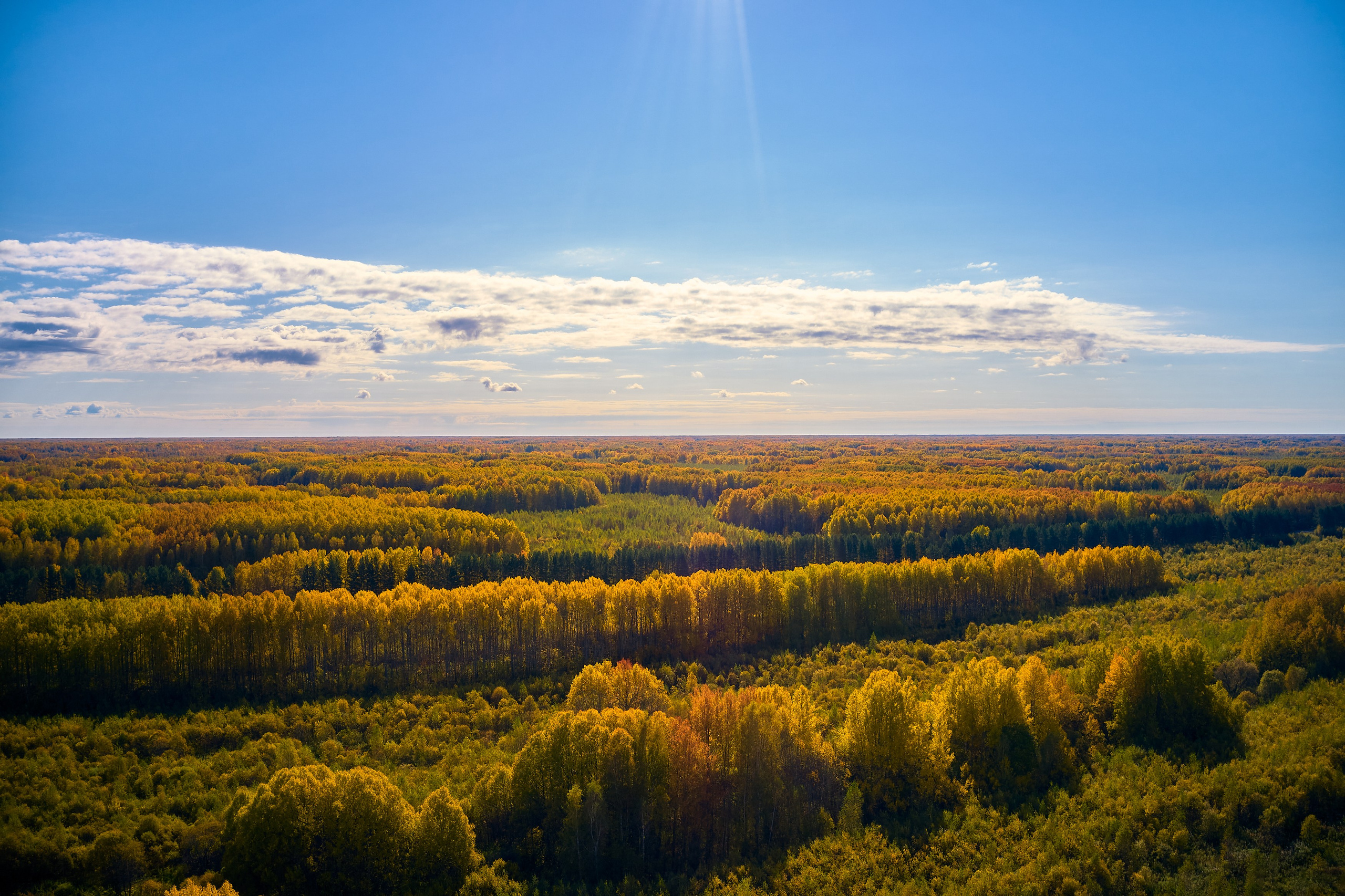 Съемка в полете. DMITRY MOISEENKO — фотограф, художник, топ-стилист