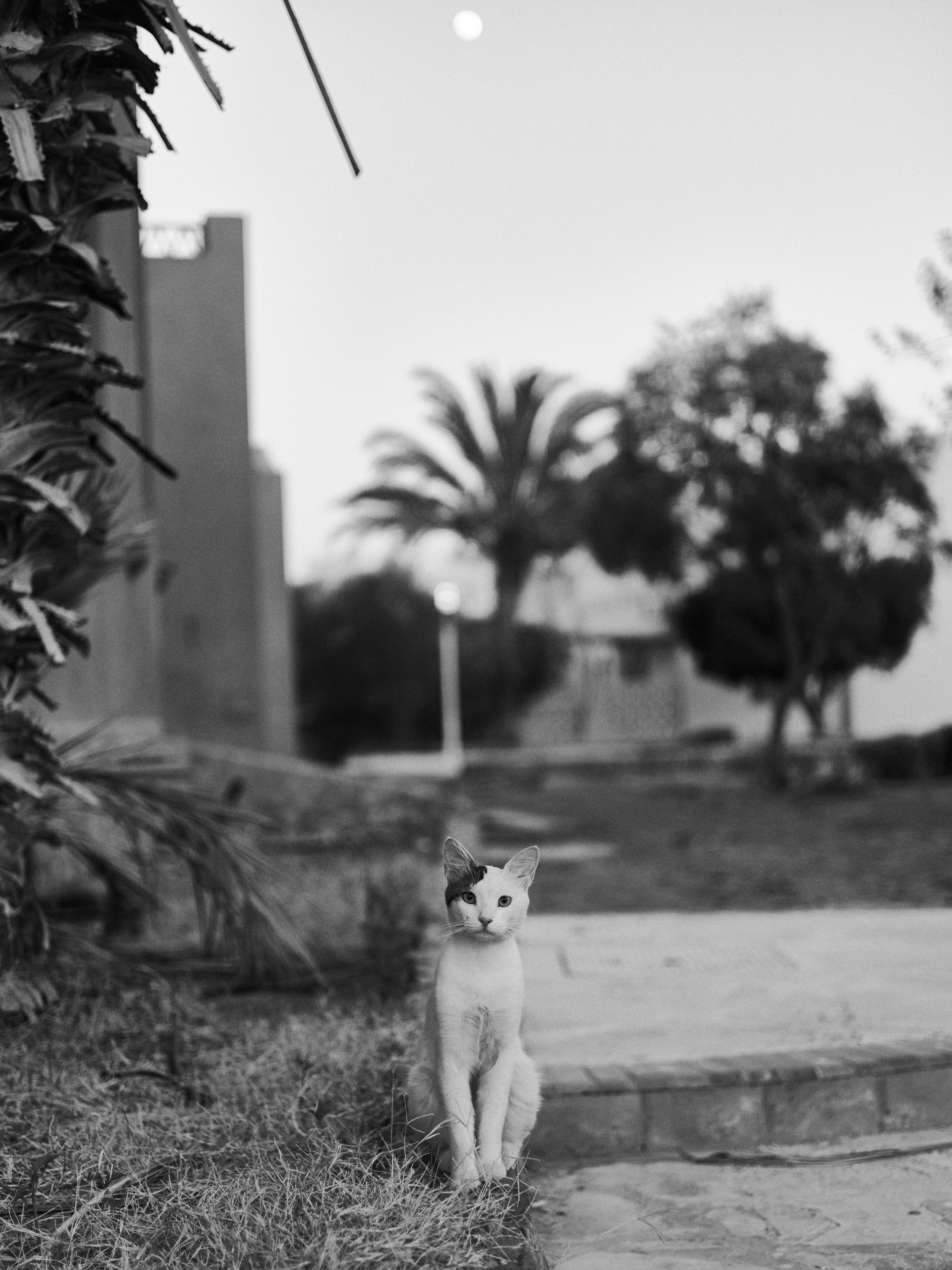 B&W. Jorgis — фотограф в Хургаде / обучение фотографии