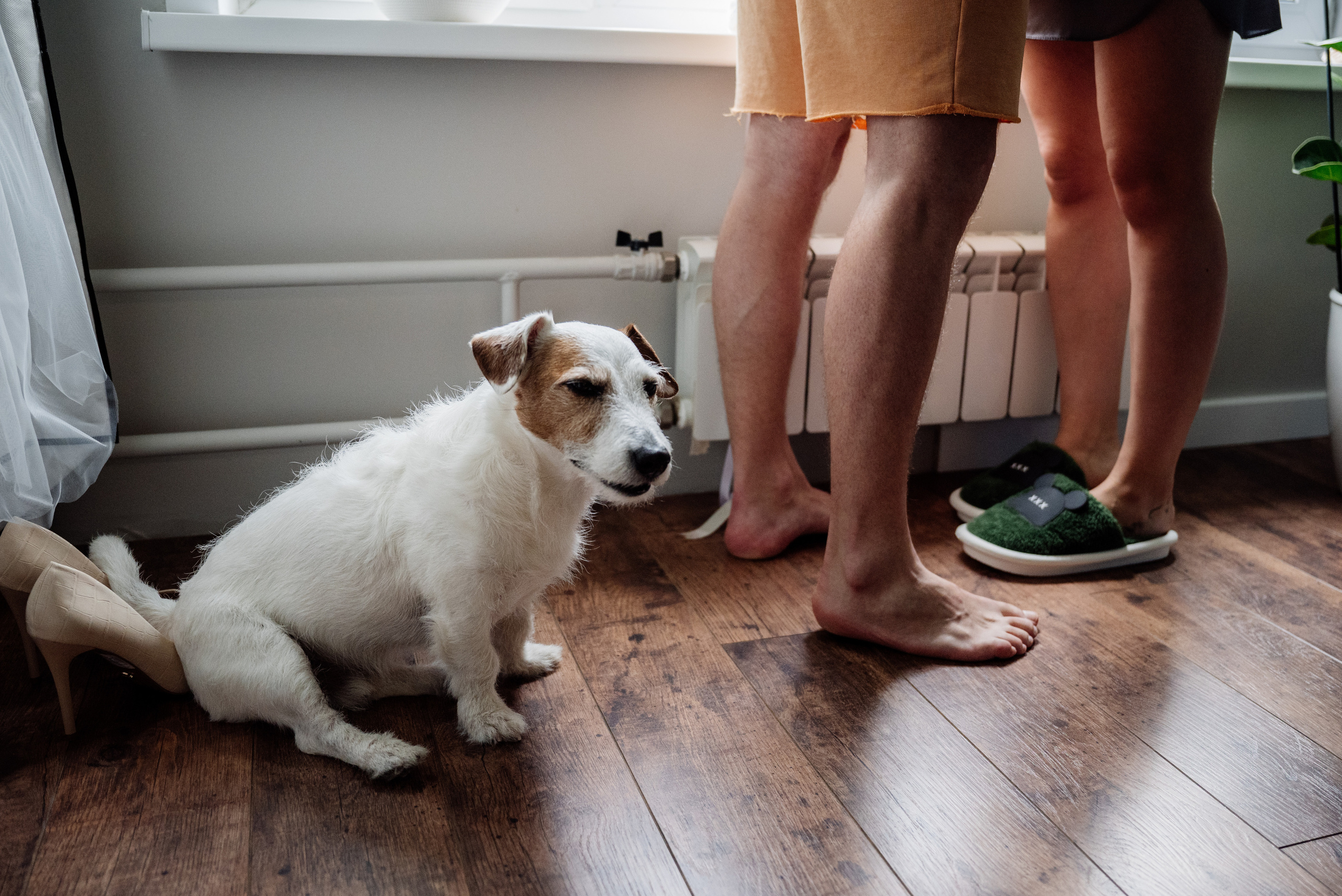 Саша и Настя. Свадебный фотограф в Москве Григорий Аргунов