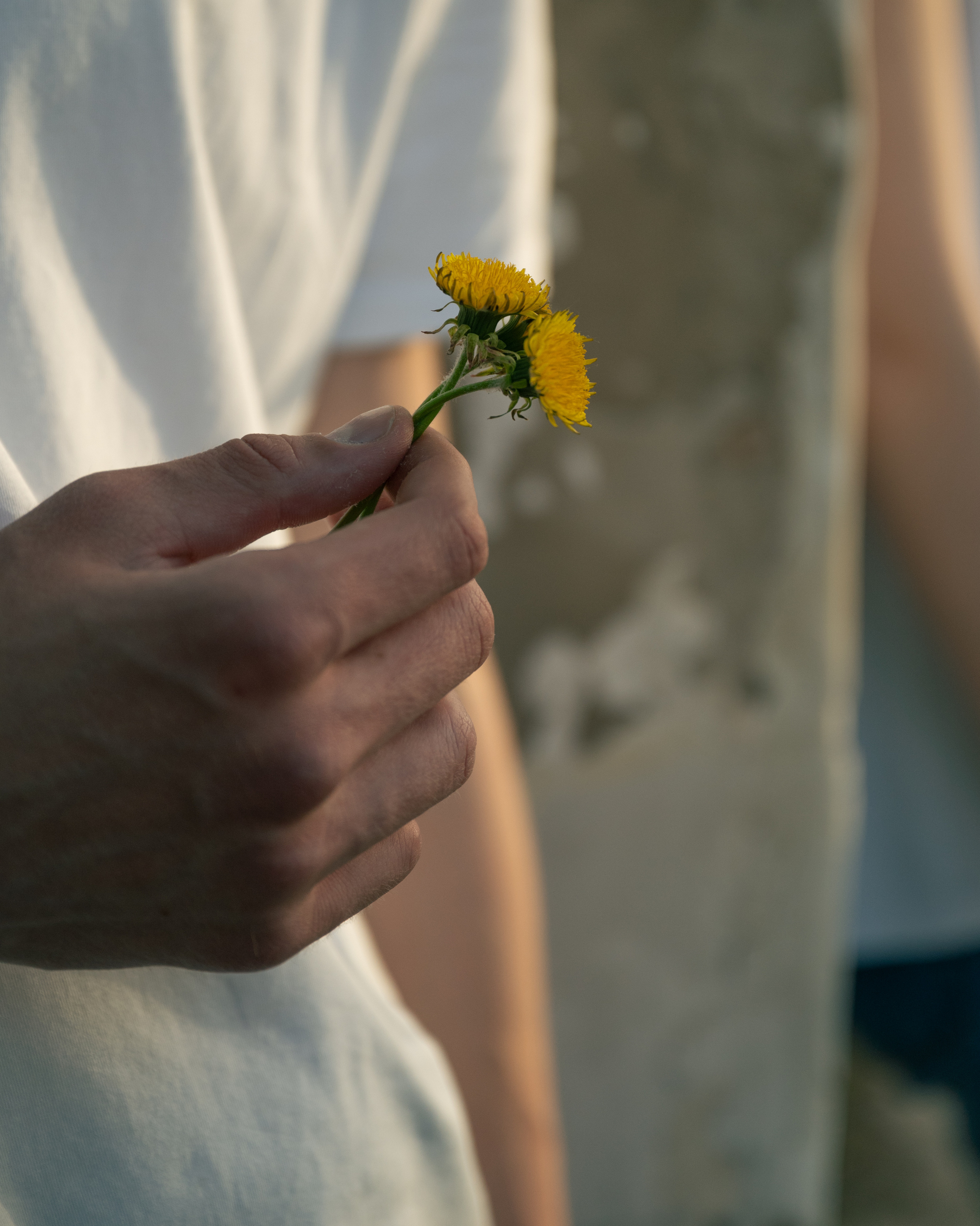 Настя и Олег. Свадебный фотограф в Москве Григорий Аргунов