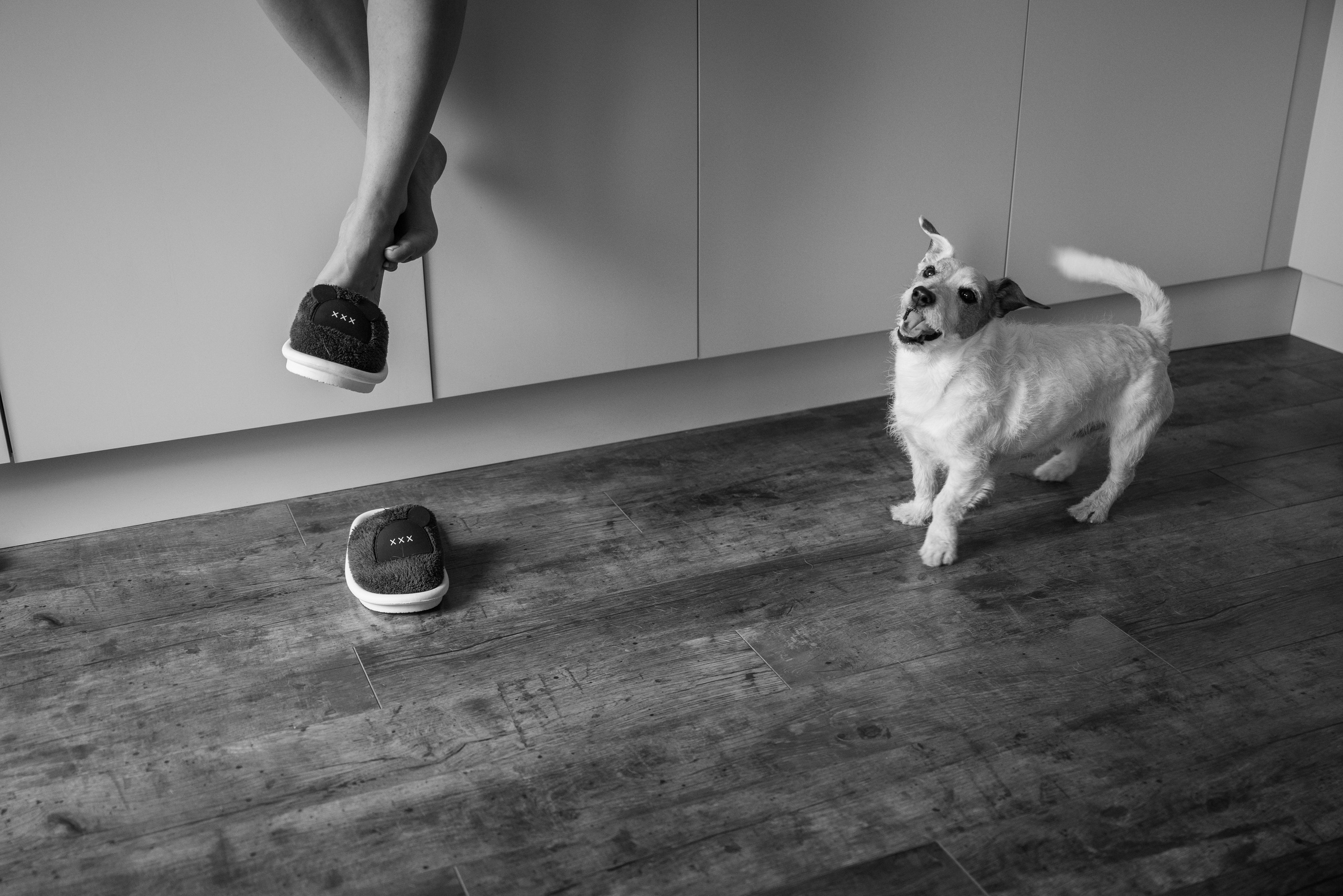 Саша и Настя. Свадебный фотограф в Москве Григорий Аргунов