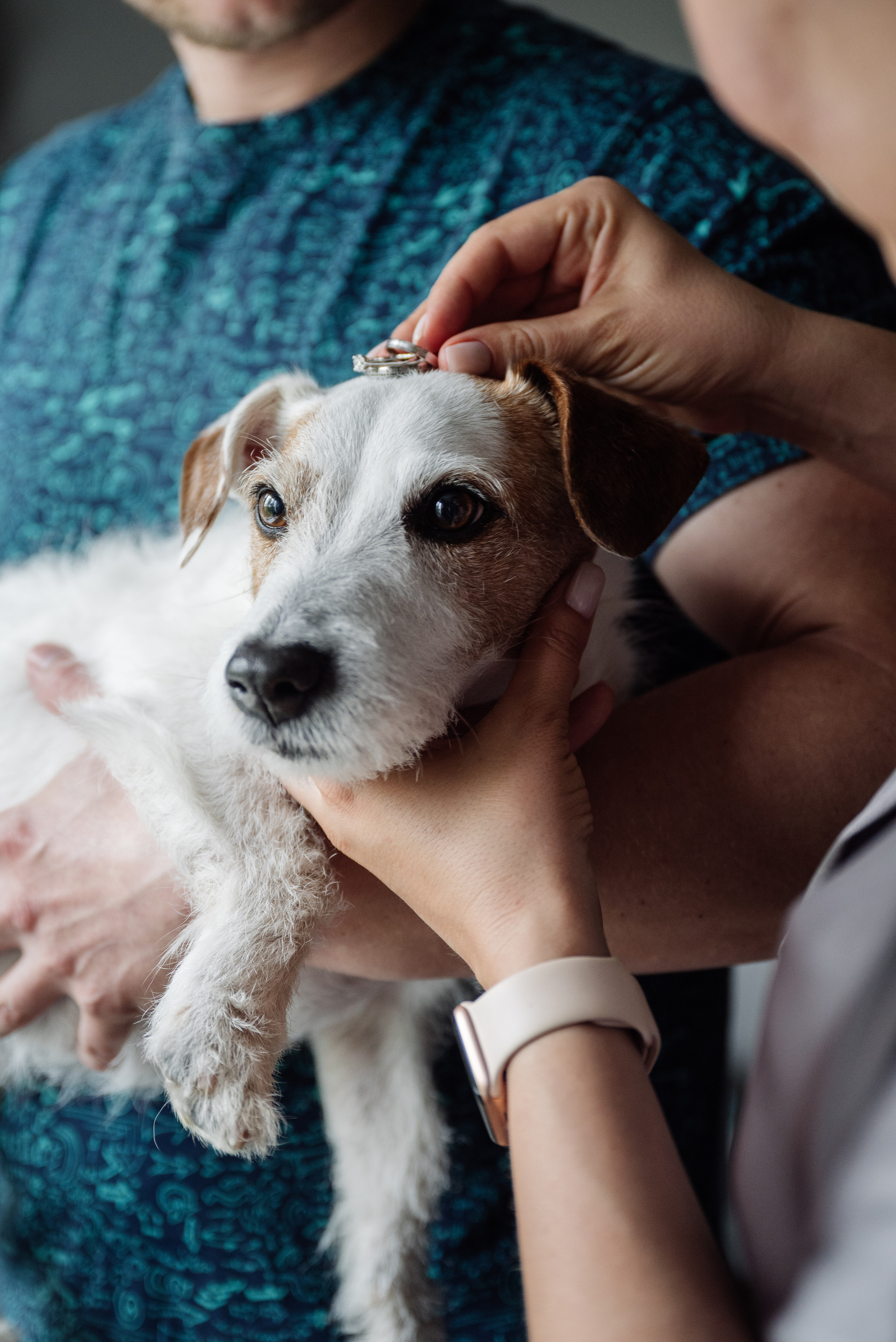 Саша и Настя. Свадебный фотограф в Москве Григорий Аргунов
