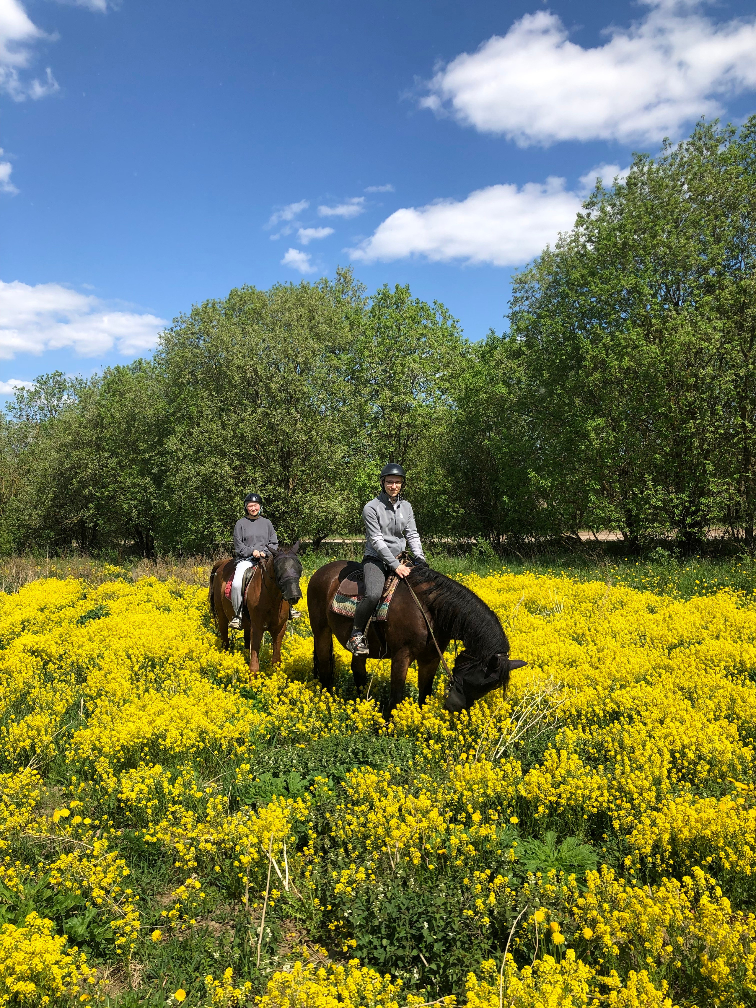 Май. Семейный, Свадебный фотограф СПБ Питер— Романова Екатерина