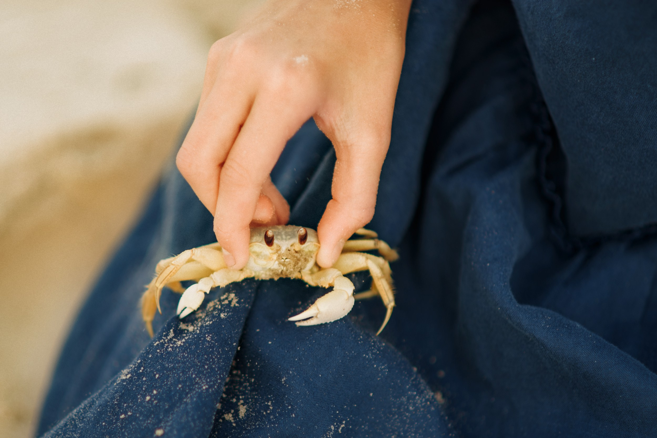 Катя. Алена Войтко