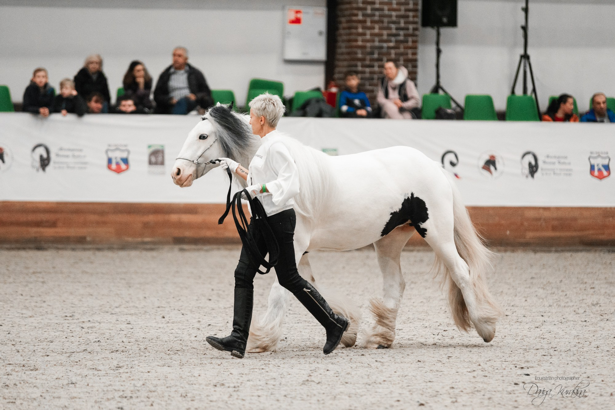 8-я международная выставка Конная Россия. Конный фотограф Куракина Дарья • Фотосессии с лошадьми