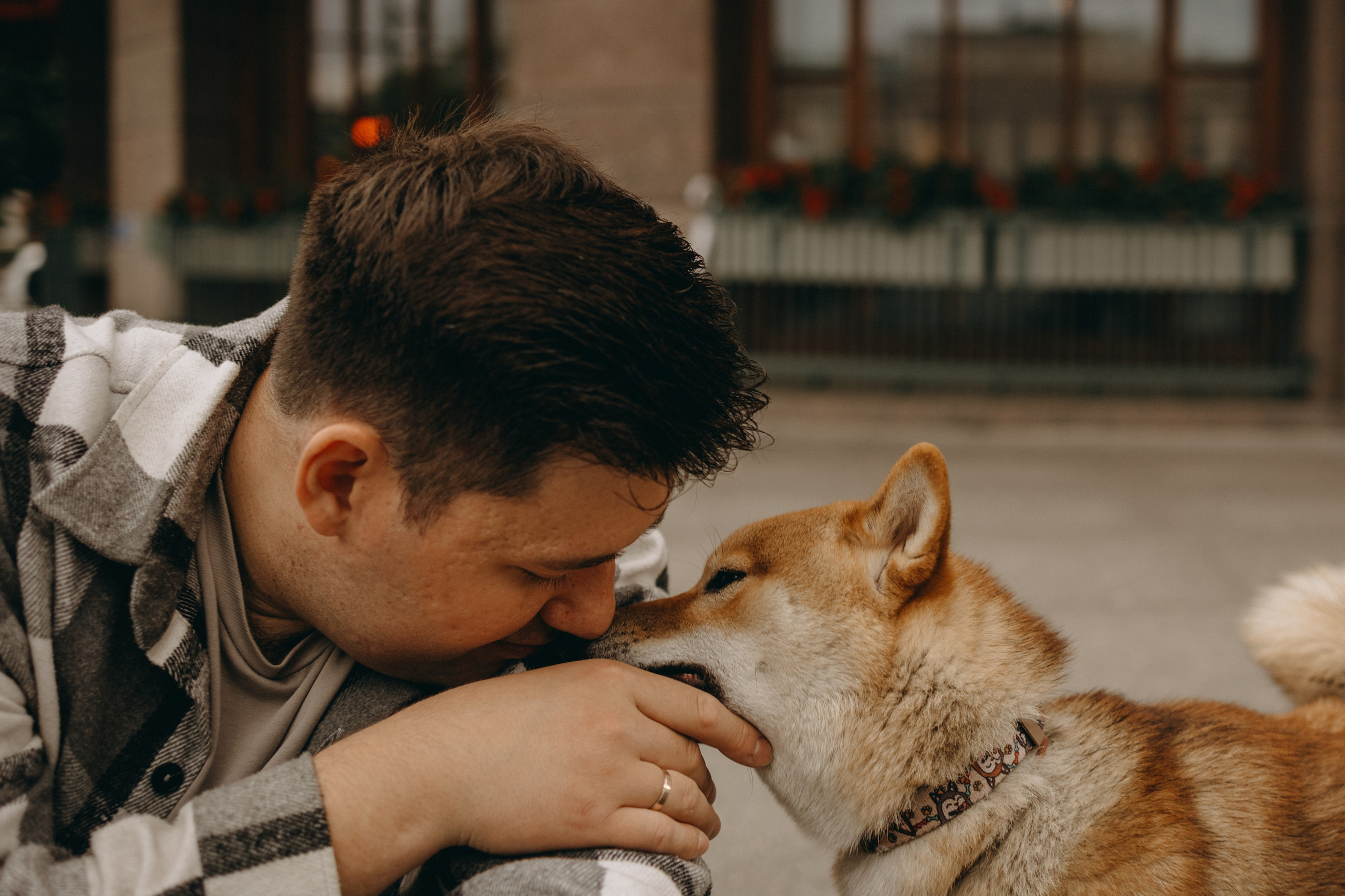 Сириус и его семья. Фотограф — Анималист | Санкт-Петербург