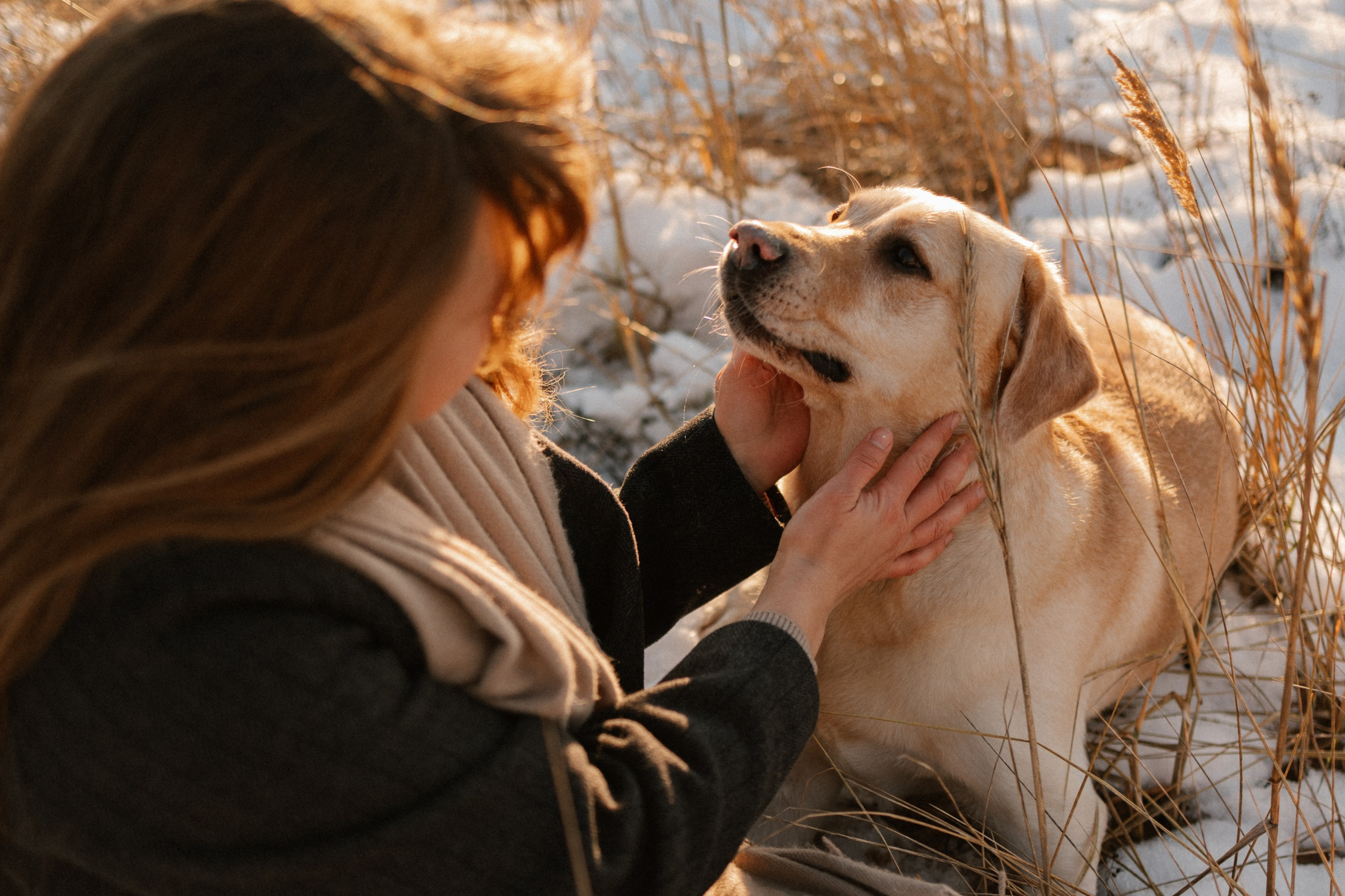 Ирина и Бася. Фотограф — Анималист | Санкт-Петербург