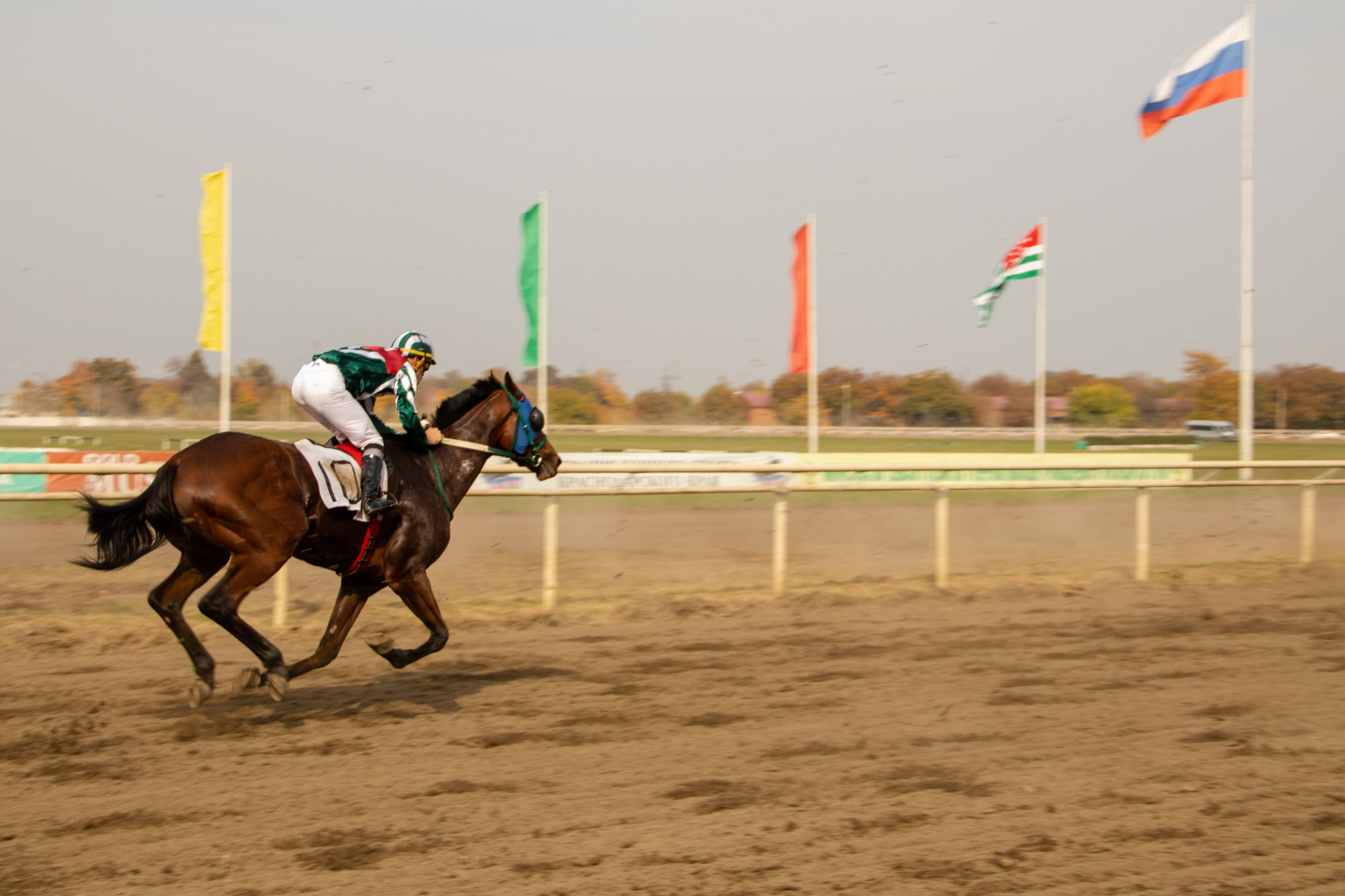 Закрытие скакового сезона на Краснодарском ипподроме. Репортажный, промышленный и маркетплейс-фотограф Дмитрий Чернат