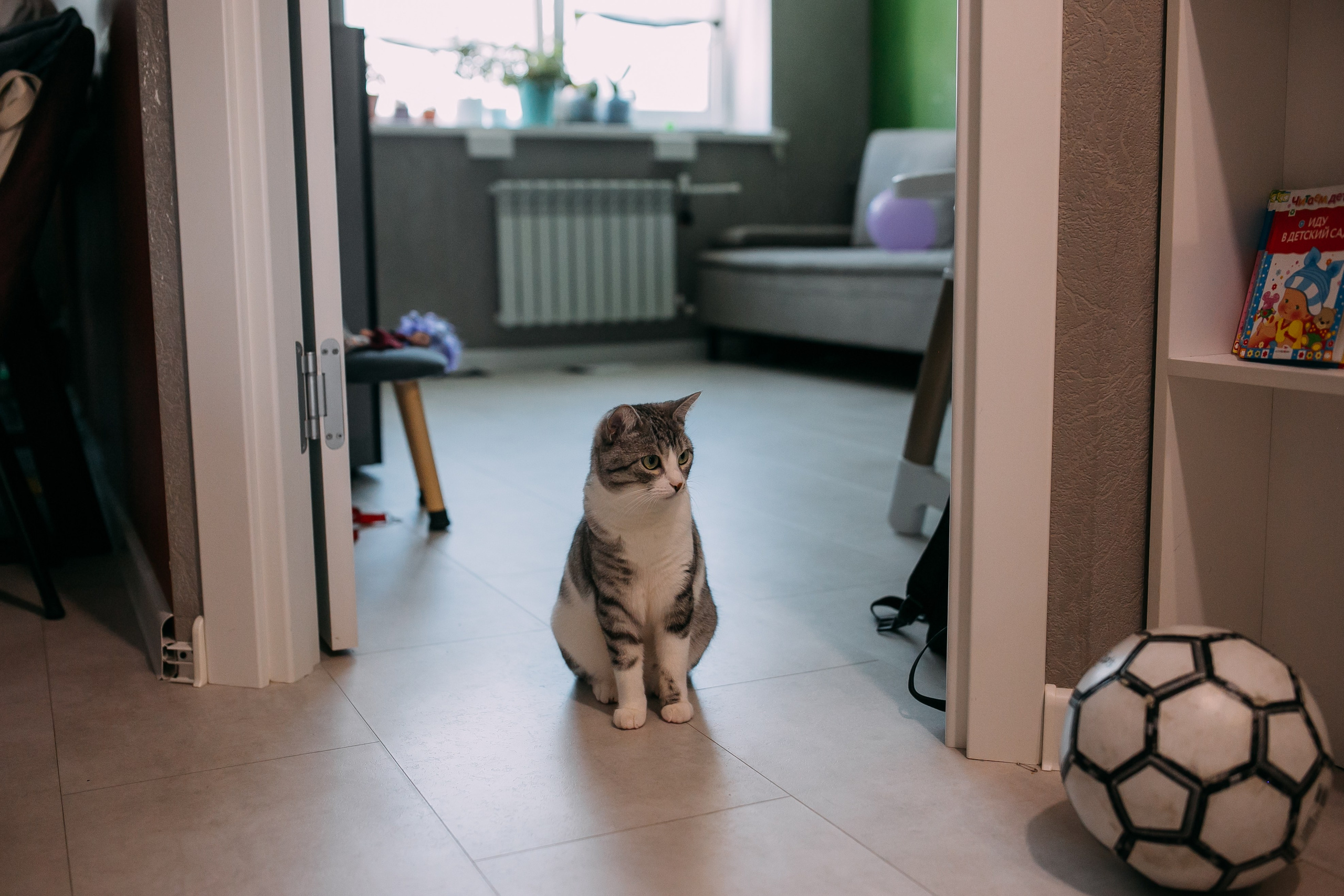 Илья, Тася, Гоша, Юля. Семейный фотограф в Волгограде Надежда Головко