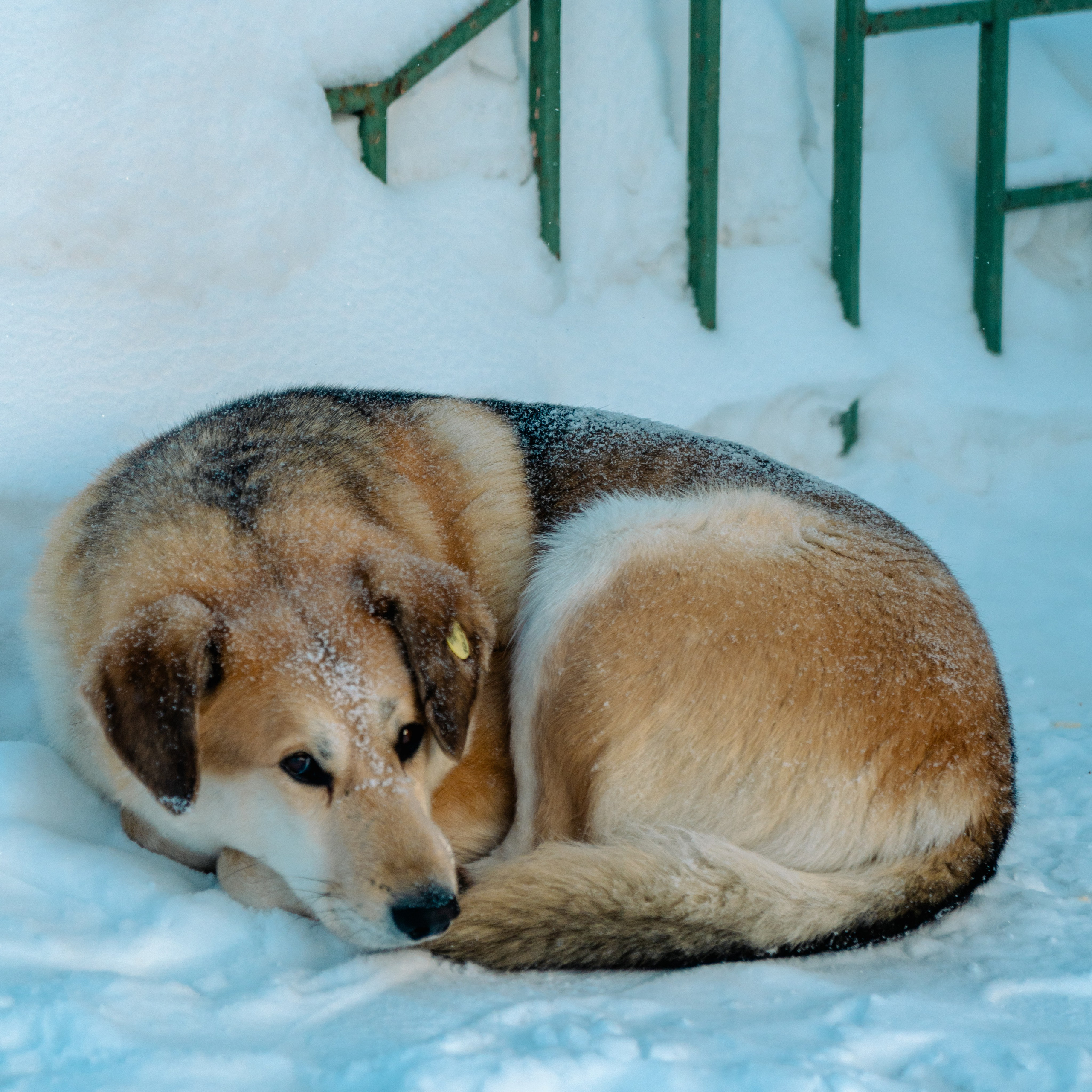 Сургут, Март 2024