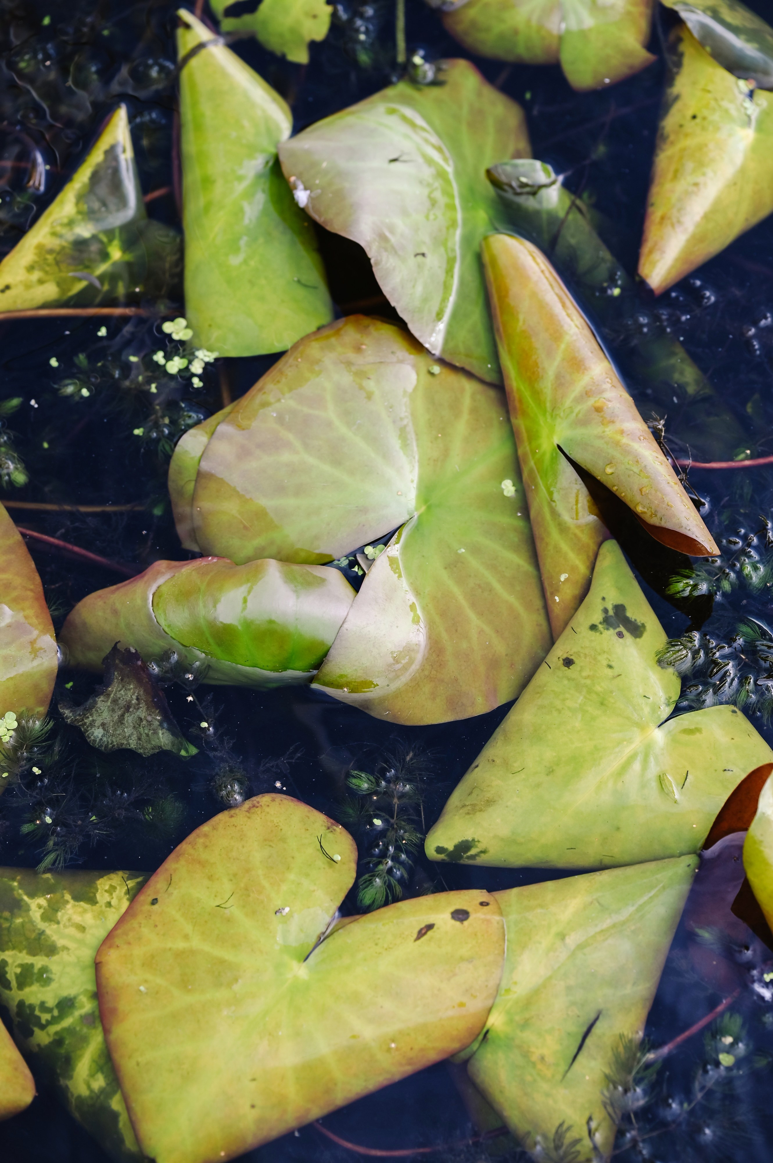 Буревестник. Репортажный фотограф в Москве и по всему миру Степанова Юлия