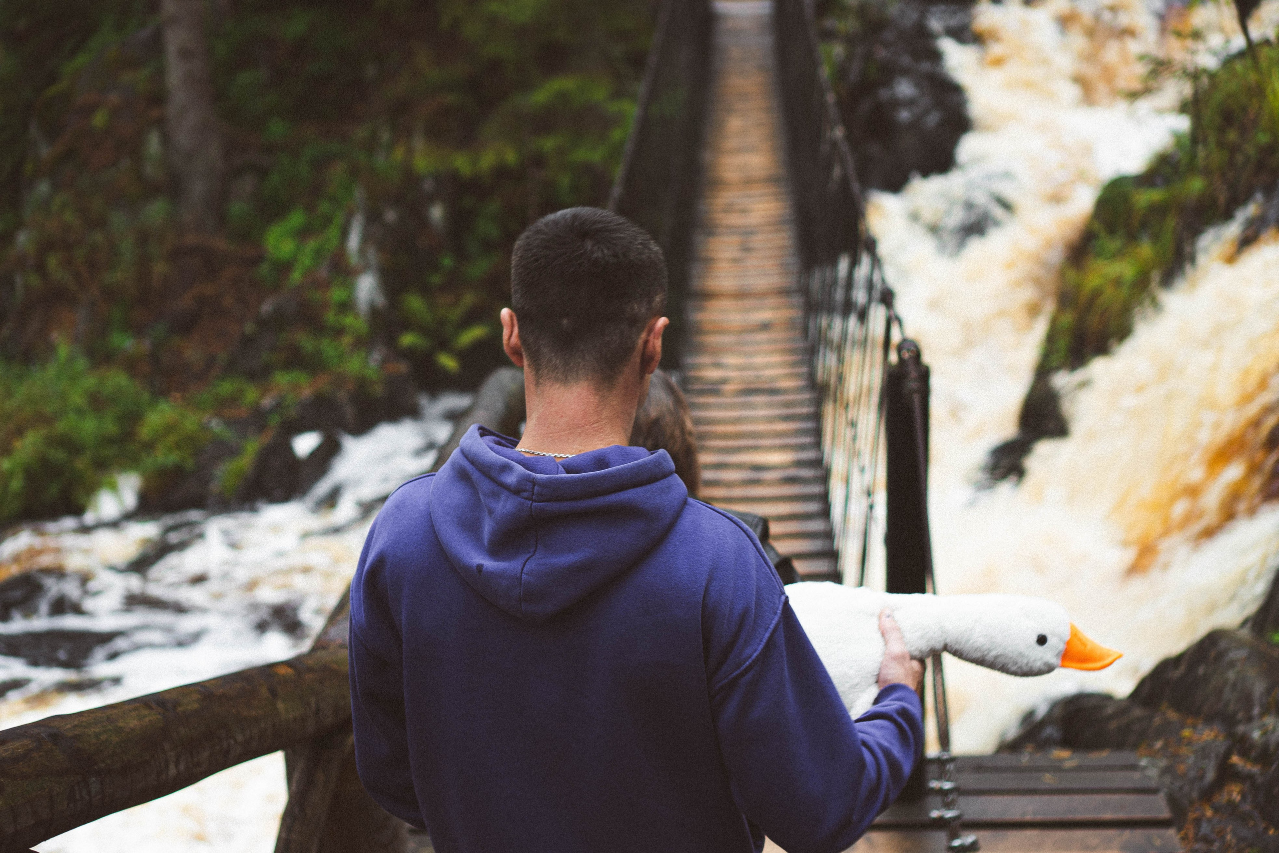 Прогулка на природе. Профессиональный фотограф, Санкт-Петербург — Виктория Богомолова