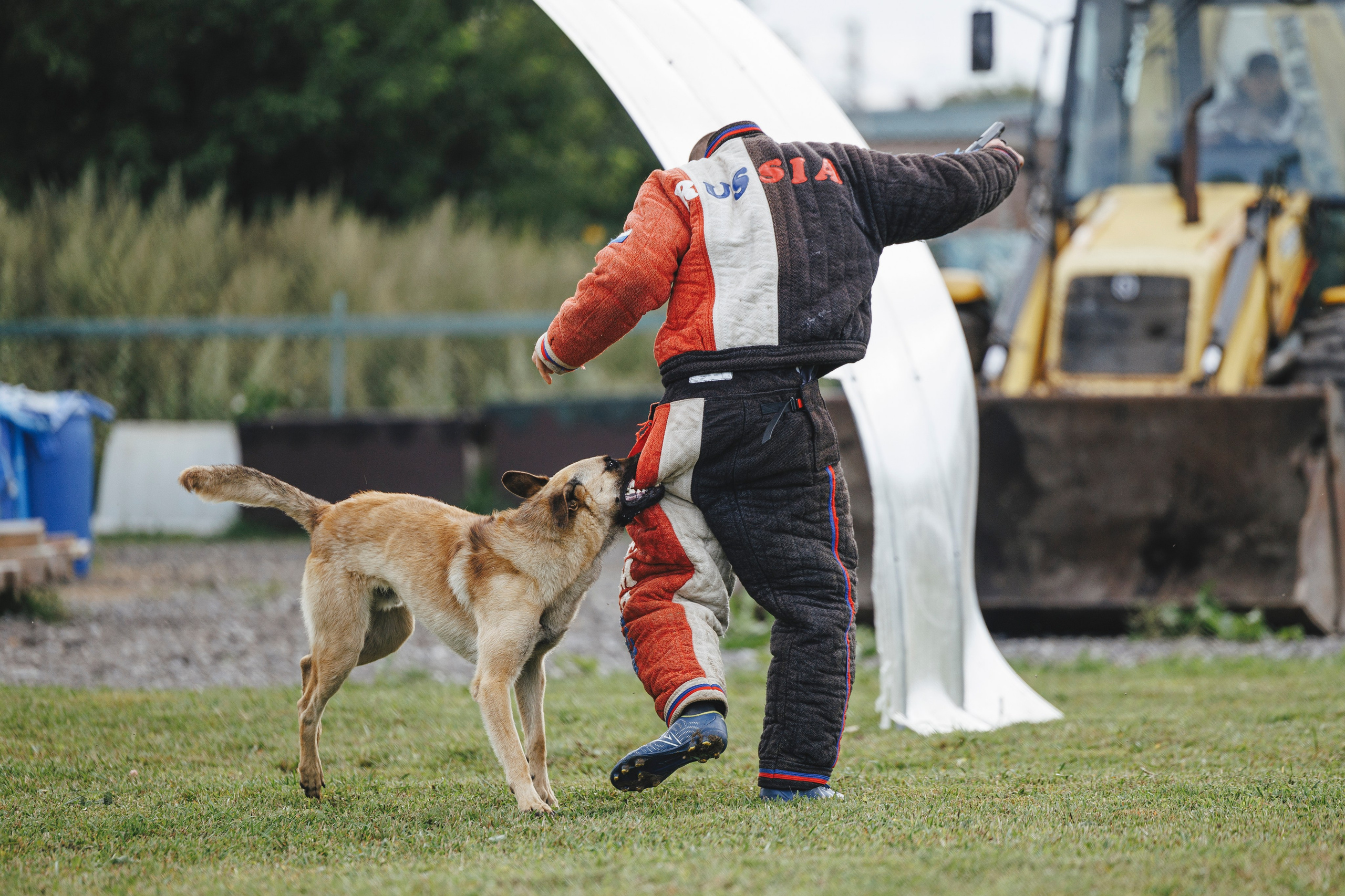 08.08.25-10.08.25 ЧР по мондьорингу г. Вологда. Фотограф-анималист Анна Маринич