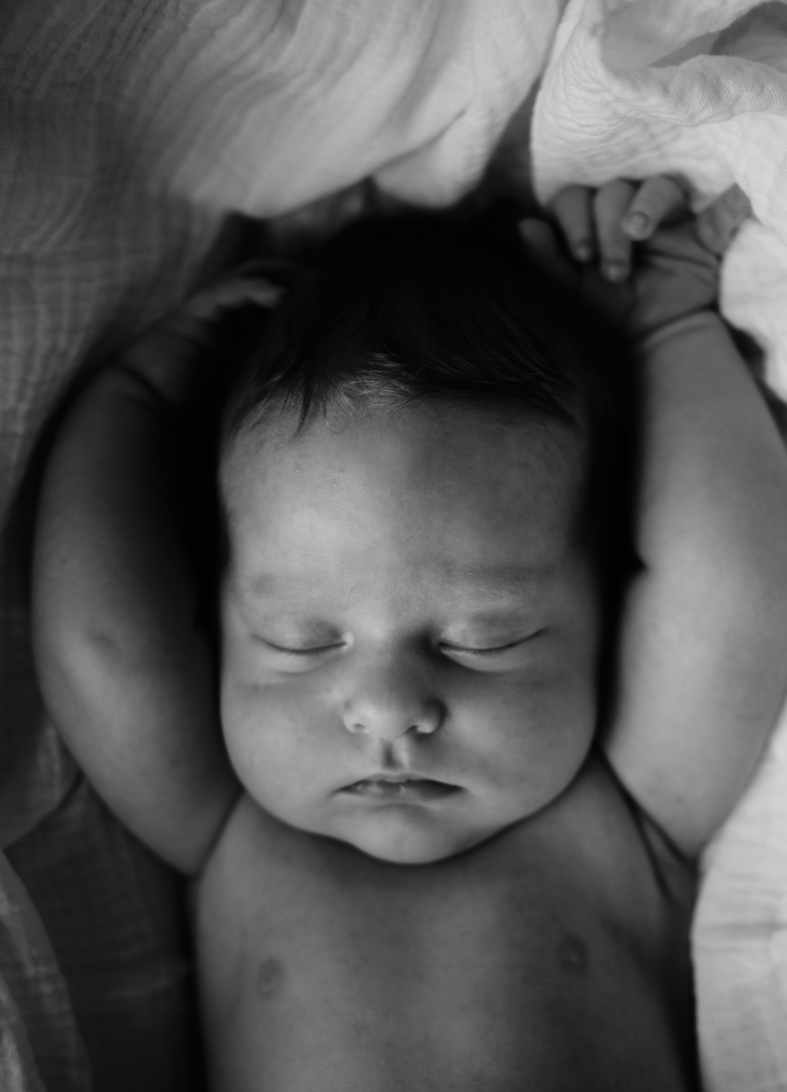 Дом, где растет любовь. Фотограф Карелина Полина